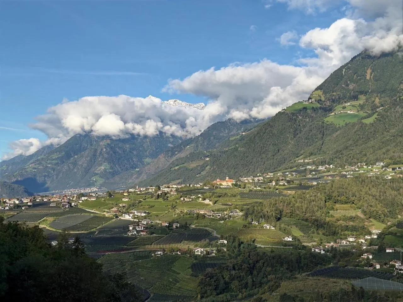 View (from property/room) in Hotel Schlosswirt