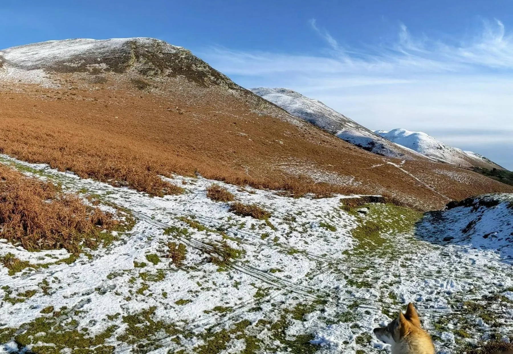 Natural landscape in The Wayside and Whisky Barn