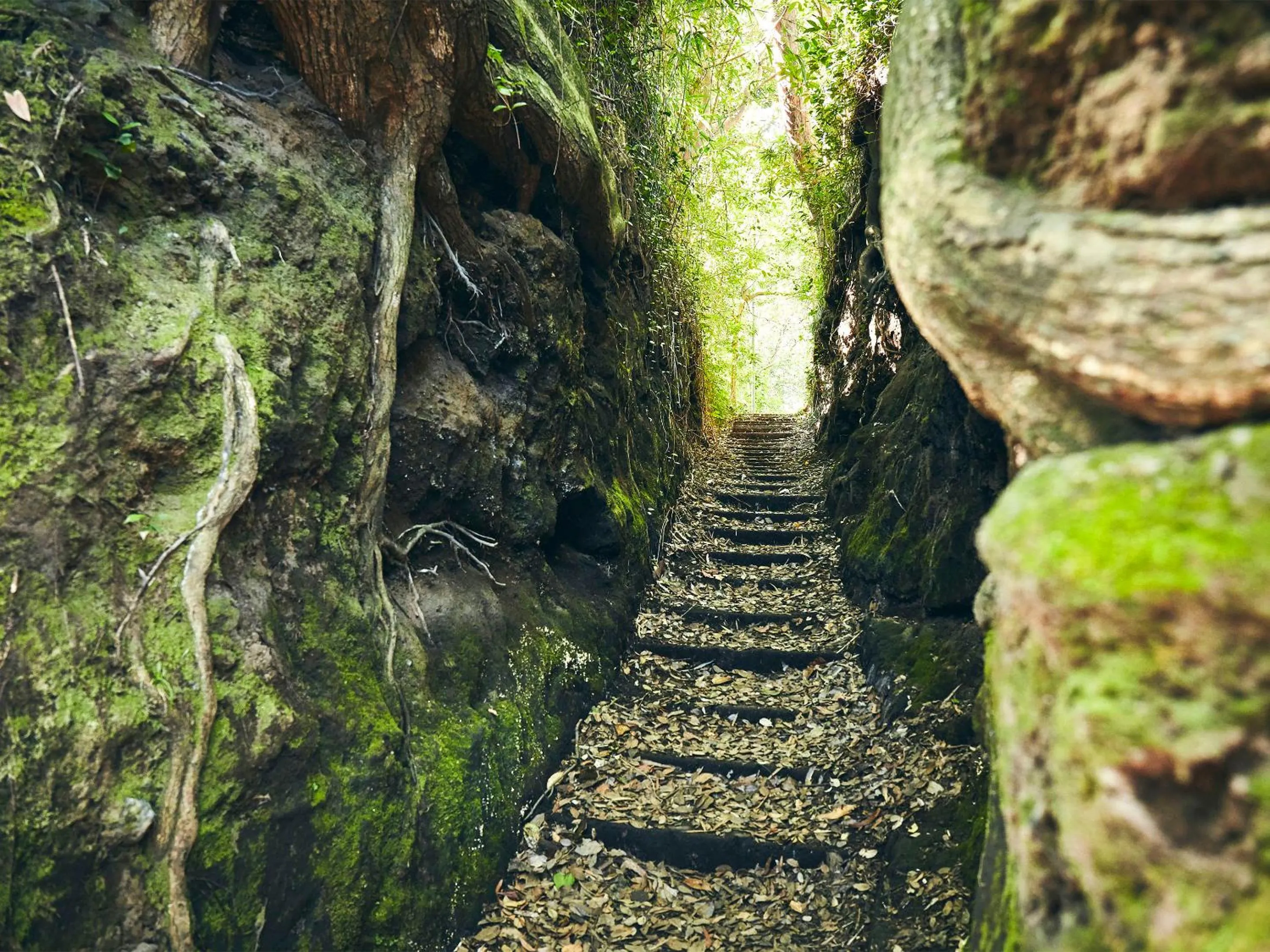 Off site in Resort villa miko