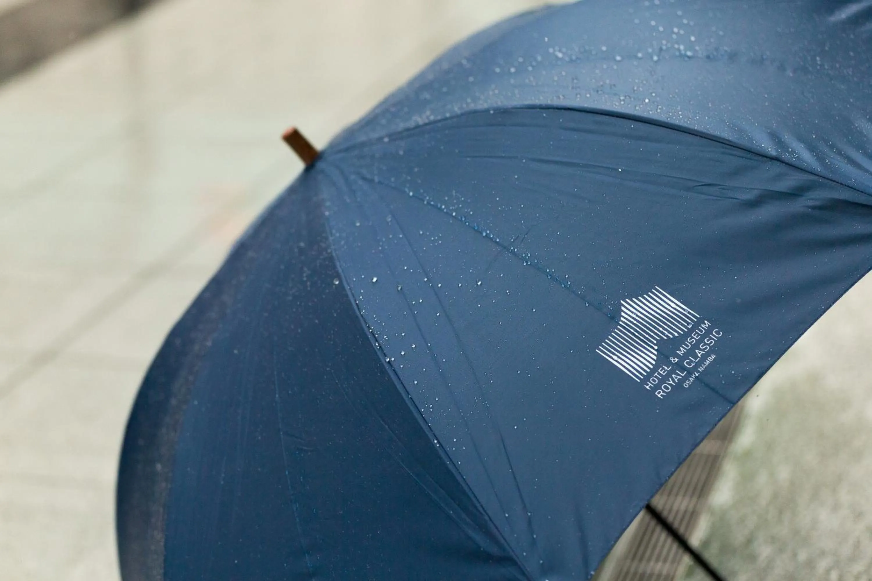 Other in Hotel Royal Classic Osaka