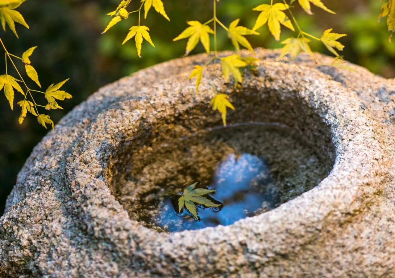 Garden in Wow! KANAZAWA STAY