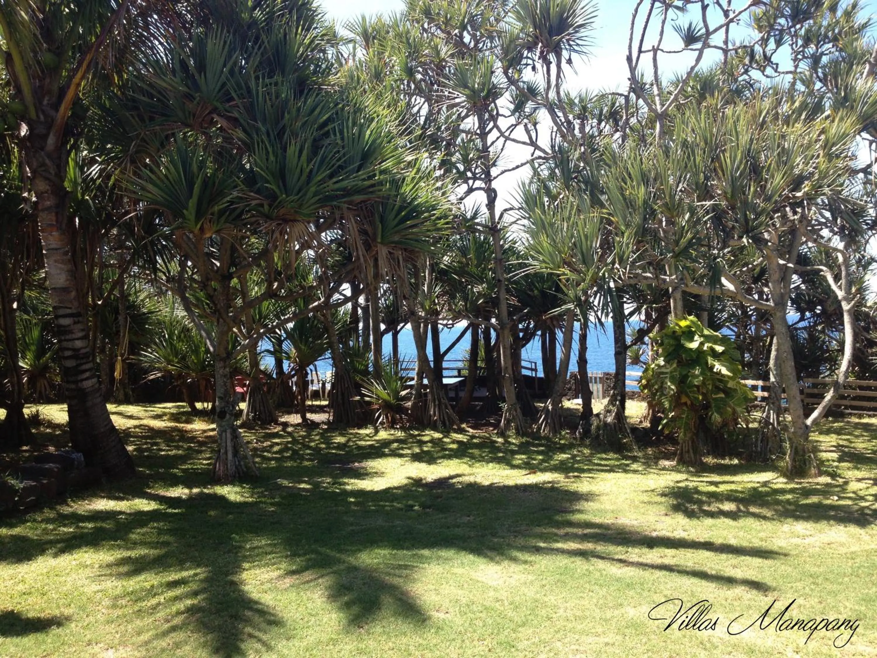 Garden in Villas Manapany
