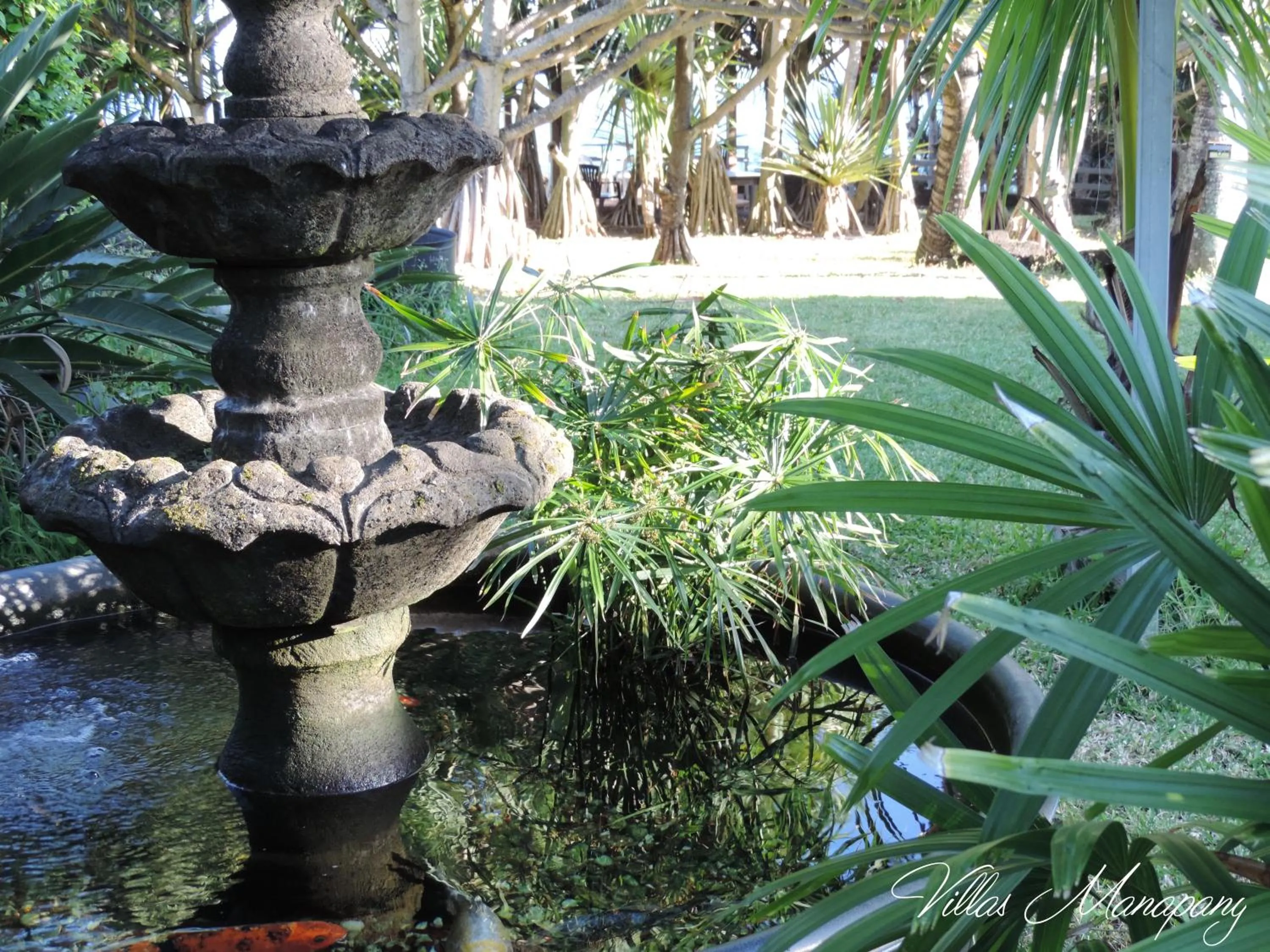 Garden in Villas Manapany