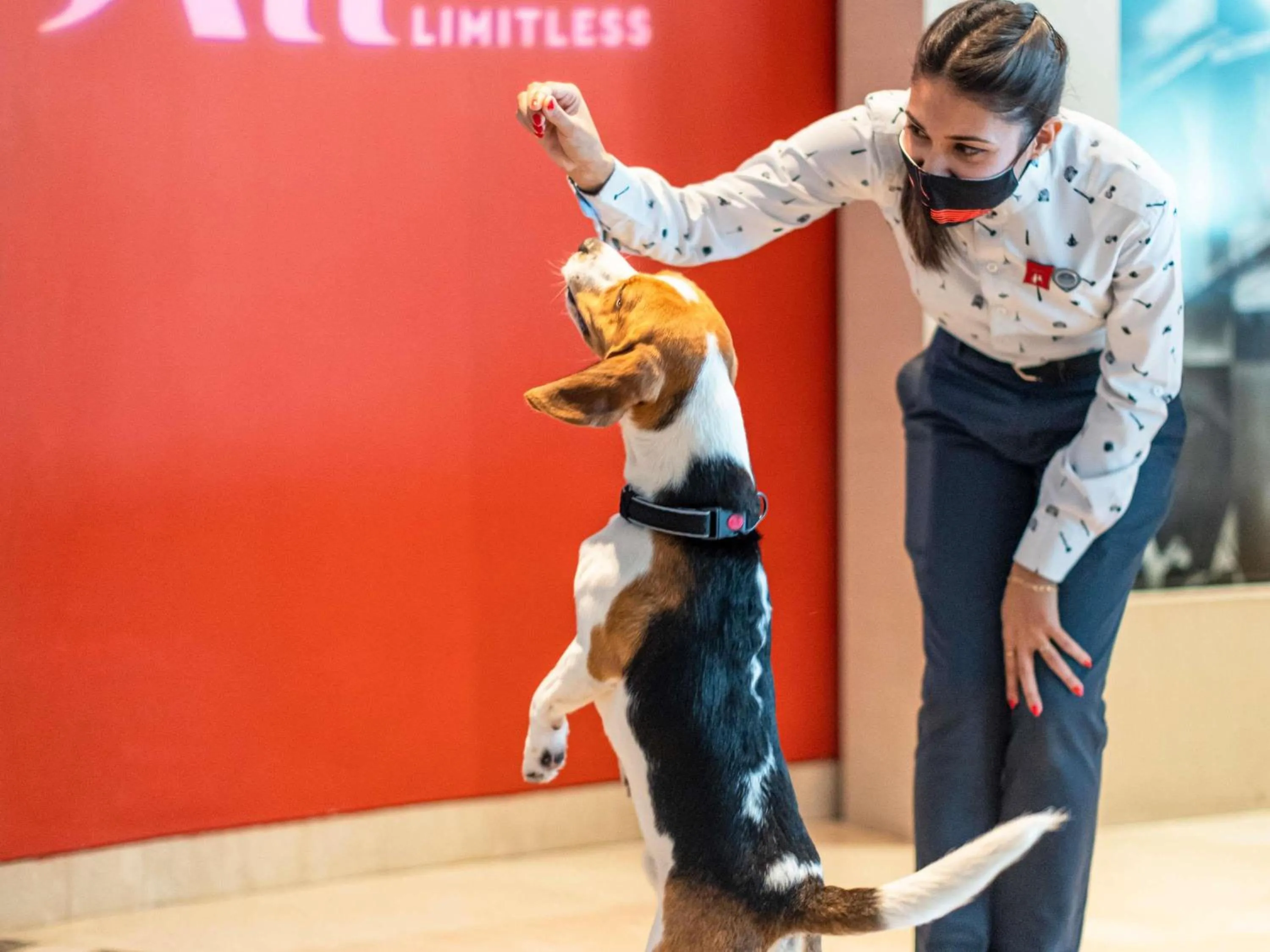 Other in ibis Montpellier Centre Comedie