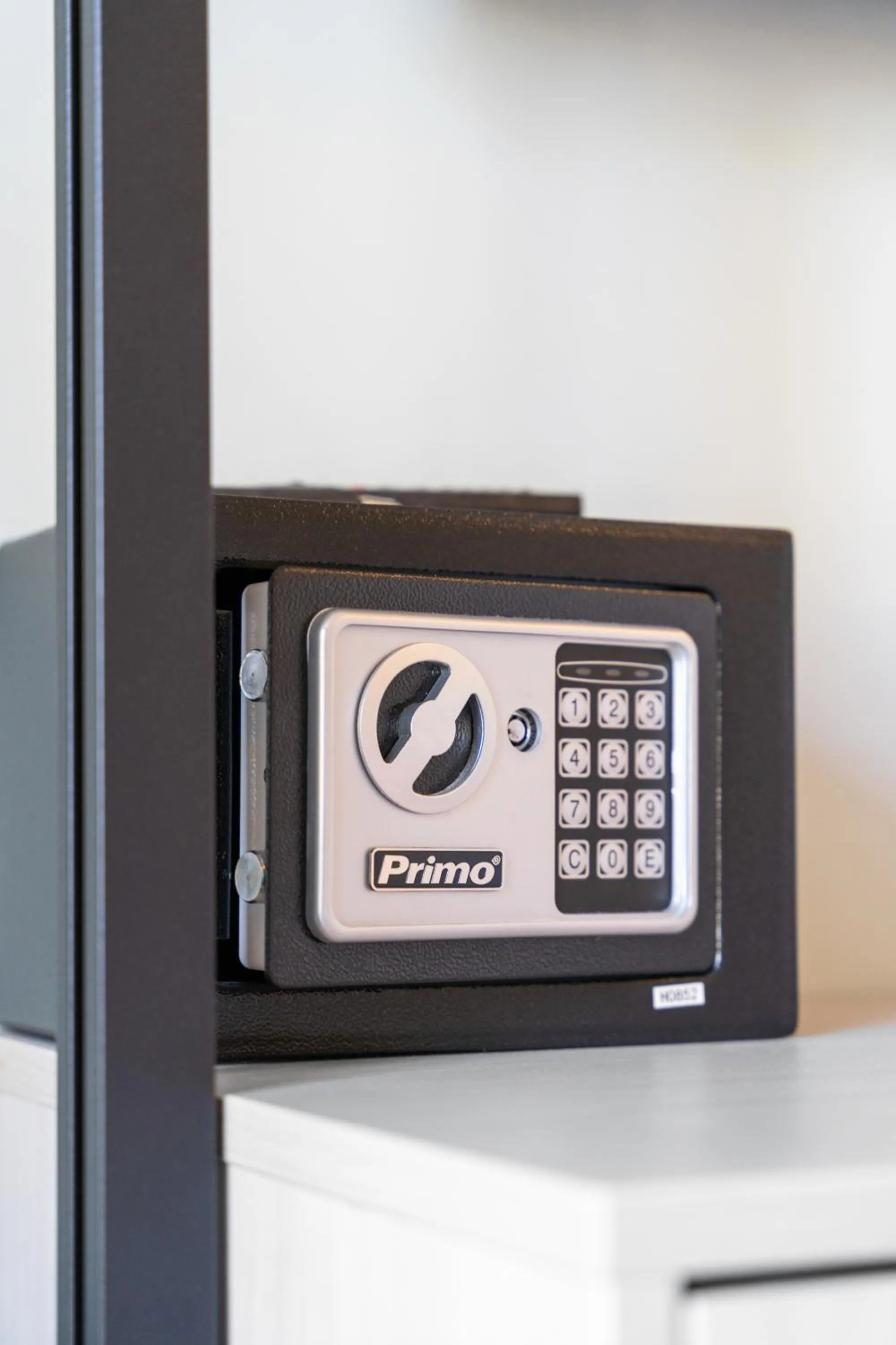 safe in Frunze Luxury Apartments