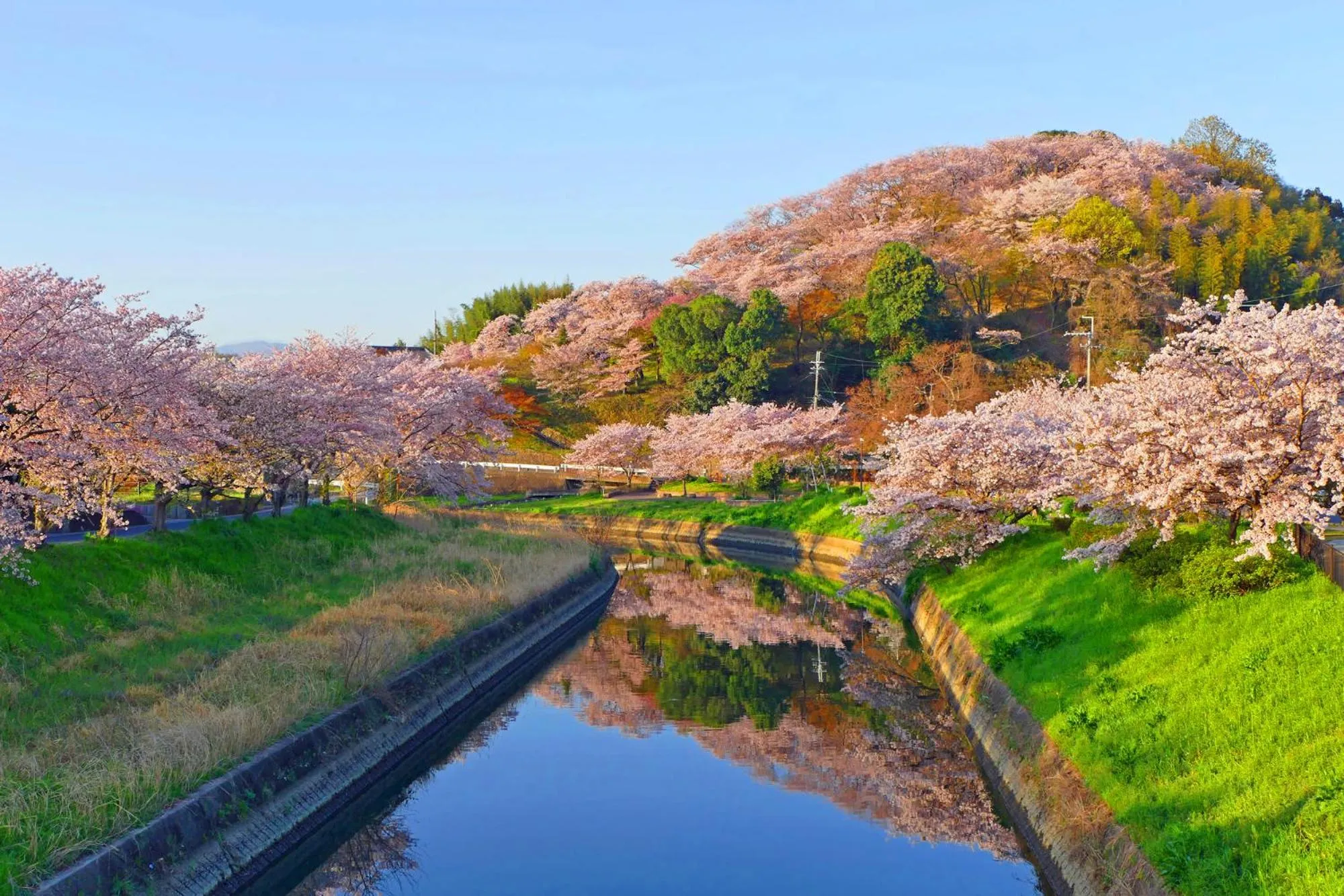 Nearby landmark in Temple Town Hotel WAQOO Horyuji