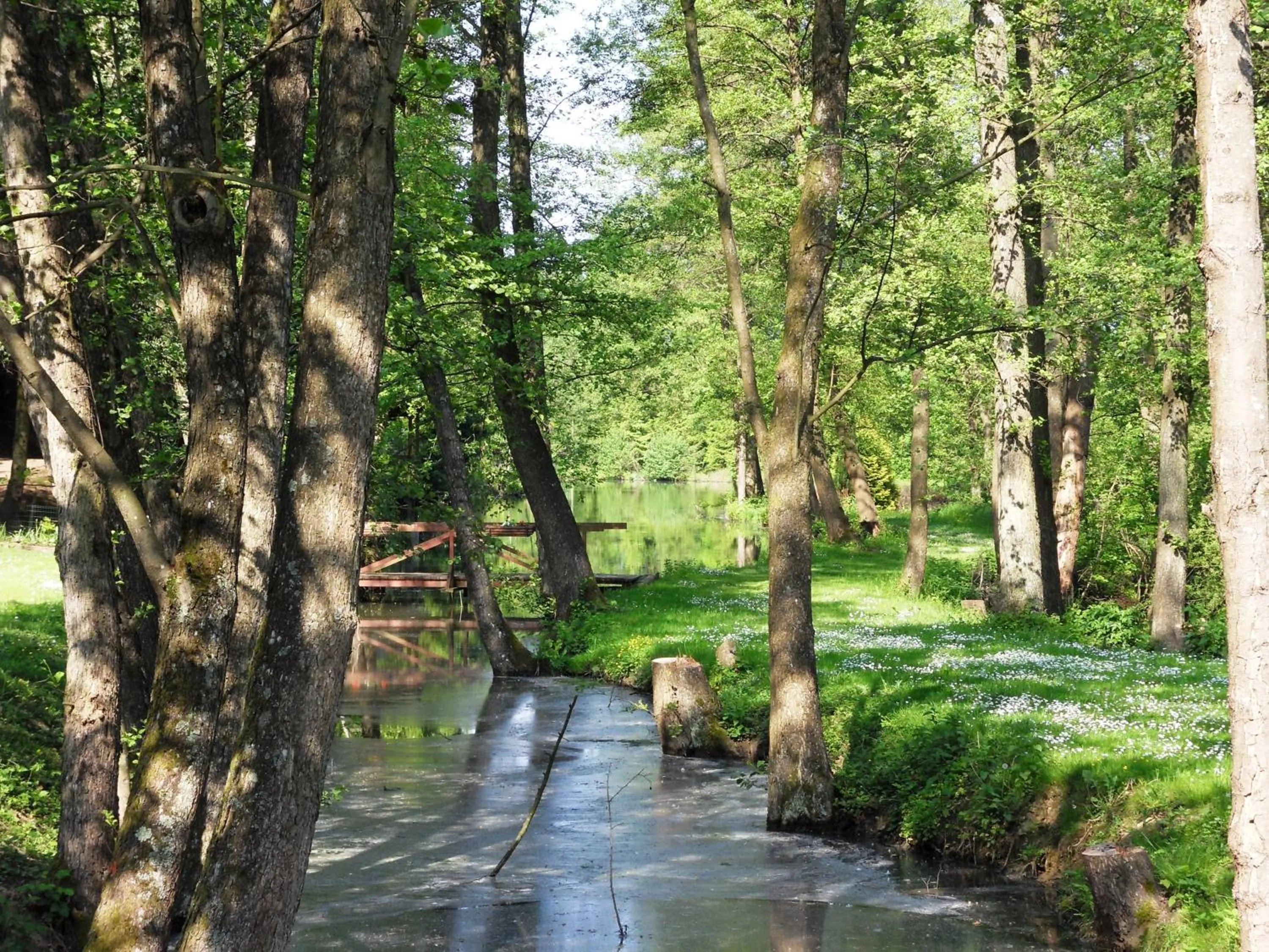 Natural landscape in Maison Jenny Hotel Restaurant & Spa