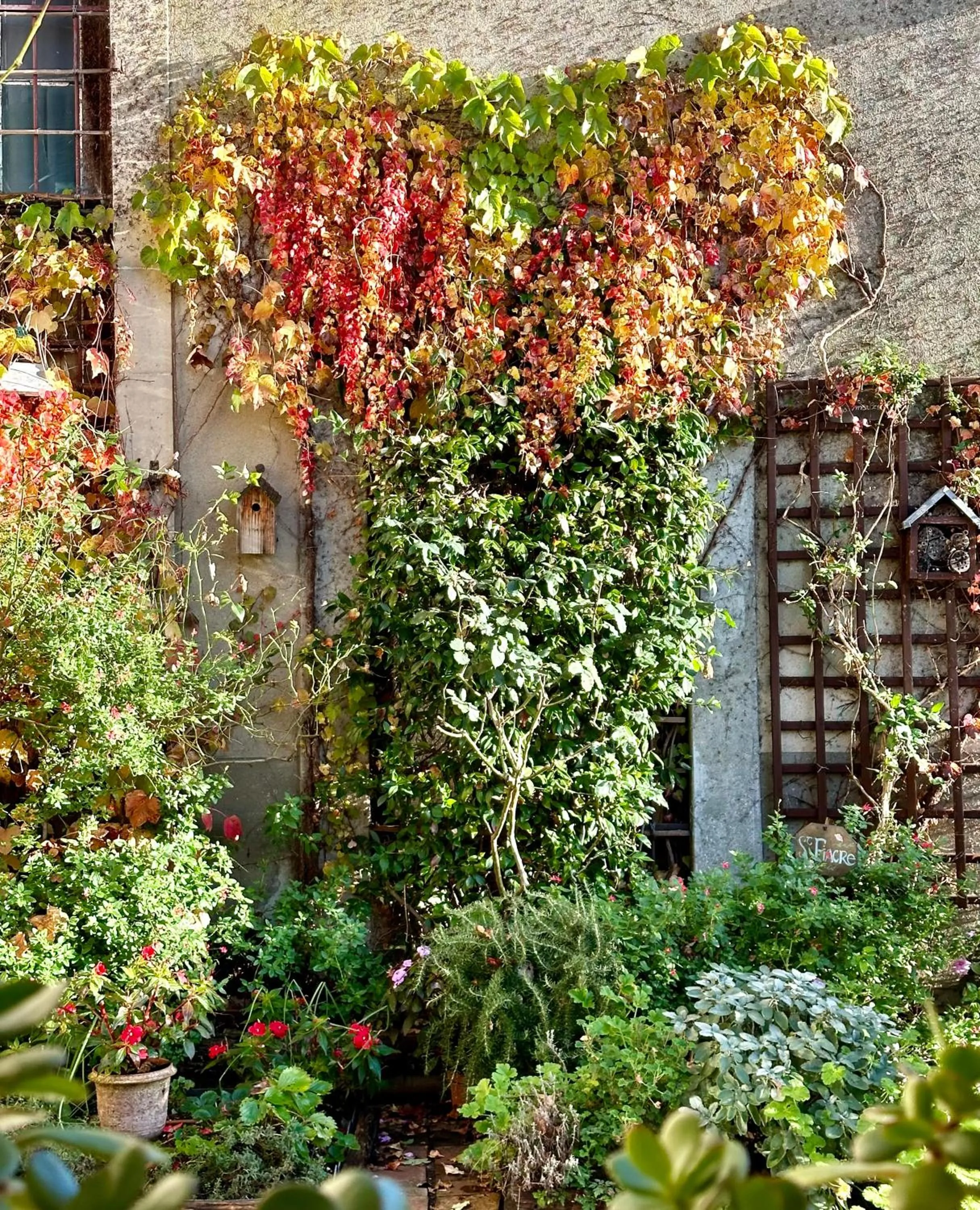 Patio in Logis Saint-Flaceau