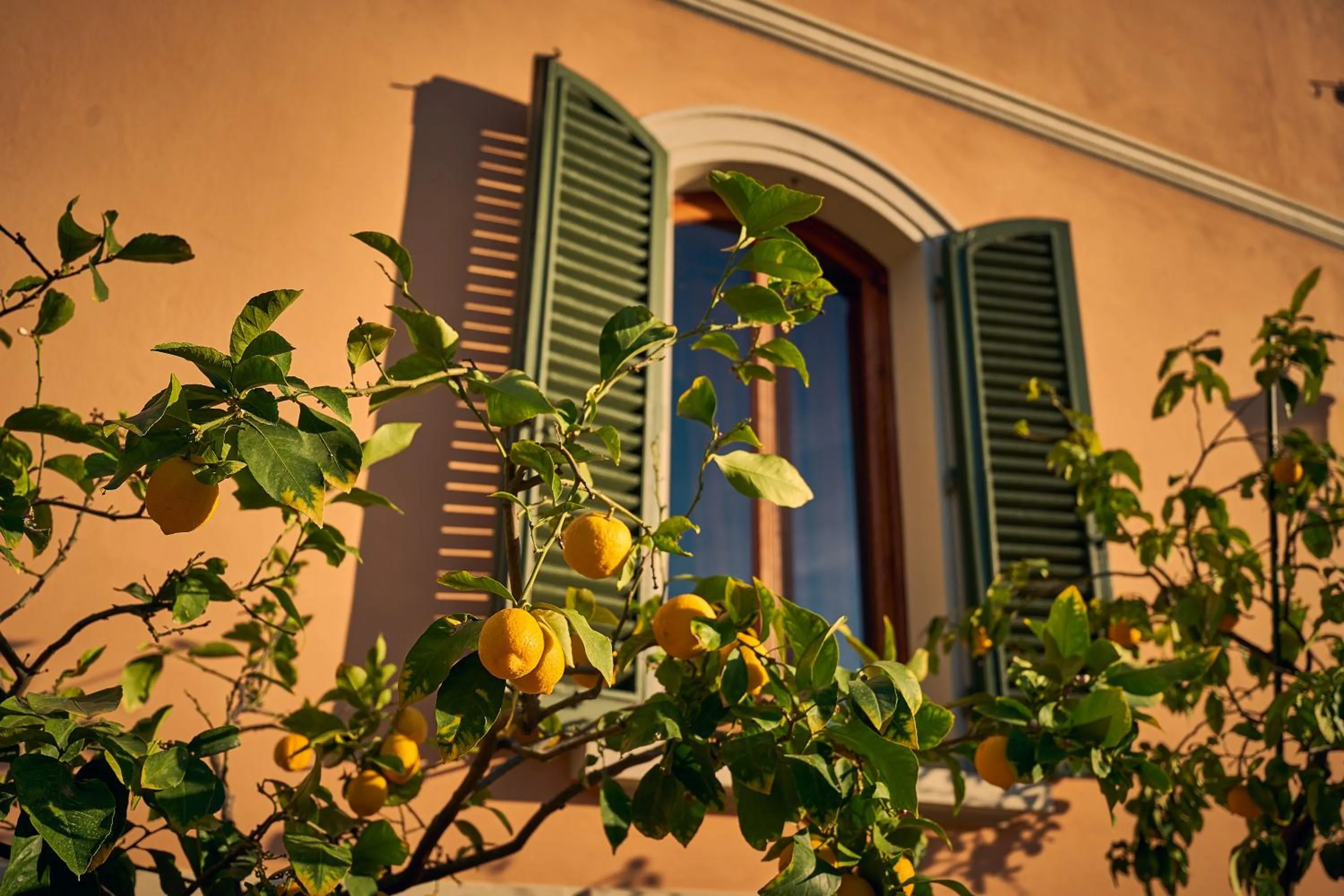 Property building in Villa Sestilia Guest House
