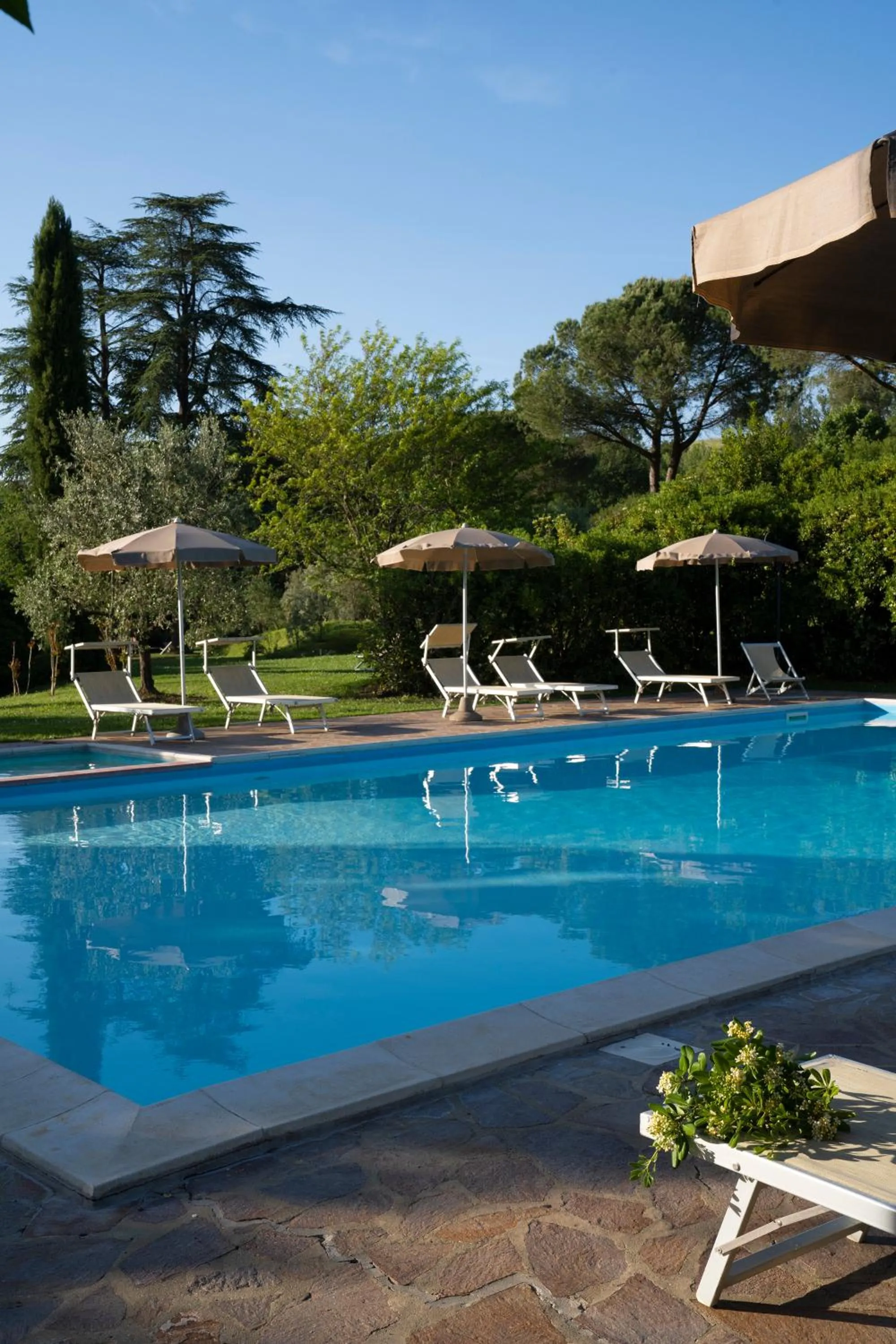 Pool view in Villa Sestilia Guest House