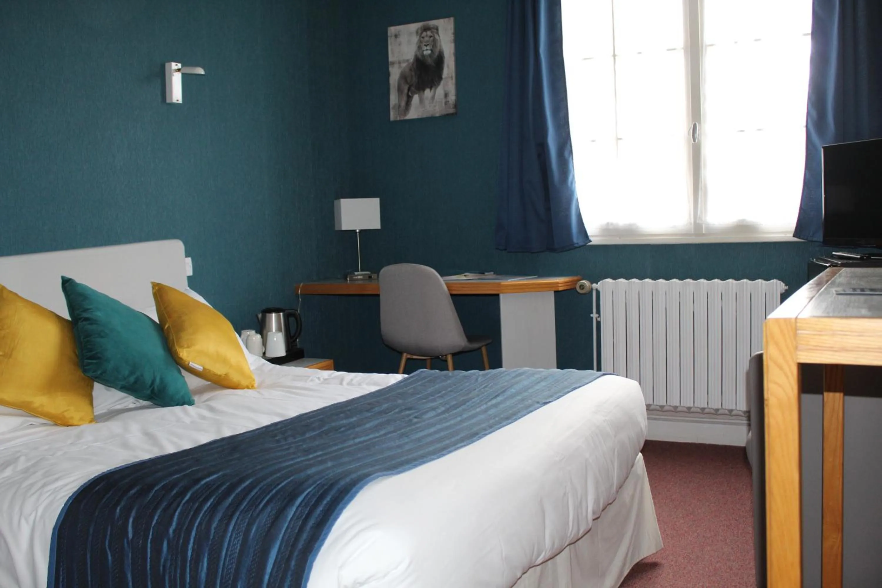 TV and multimedia in Hotel de L'Europe, La Roche-Posay