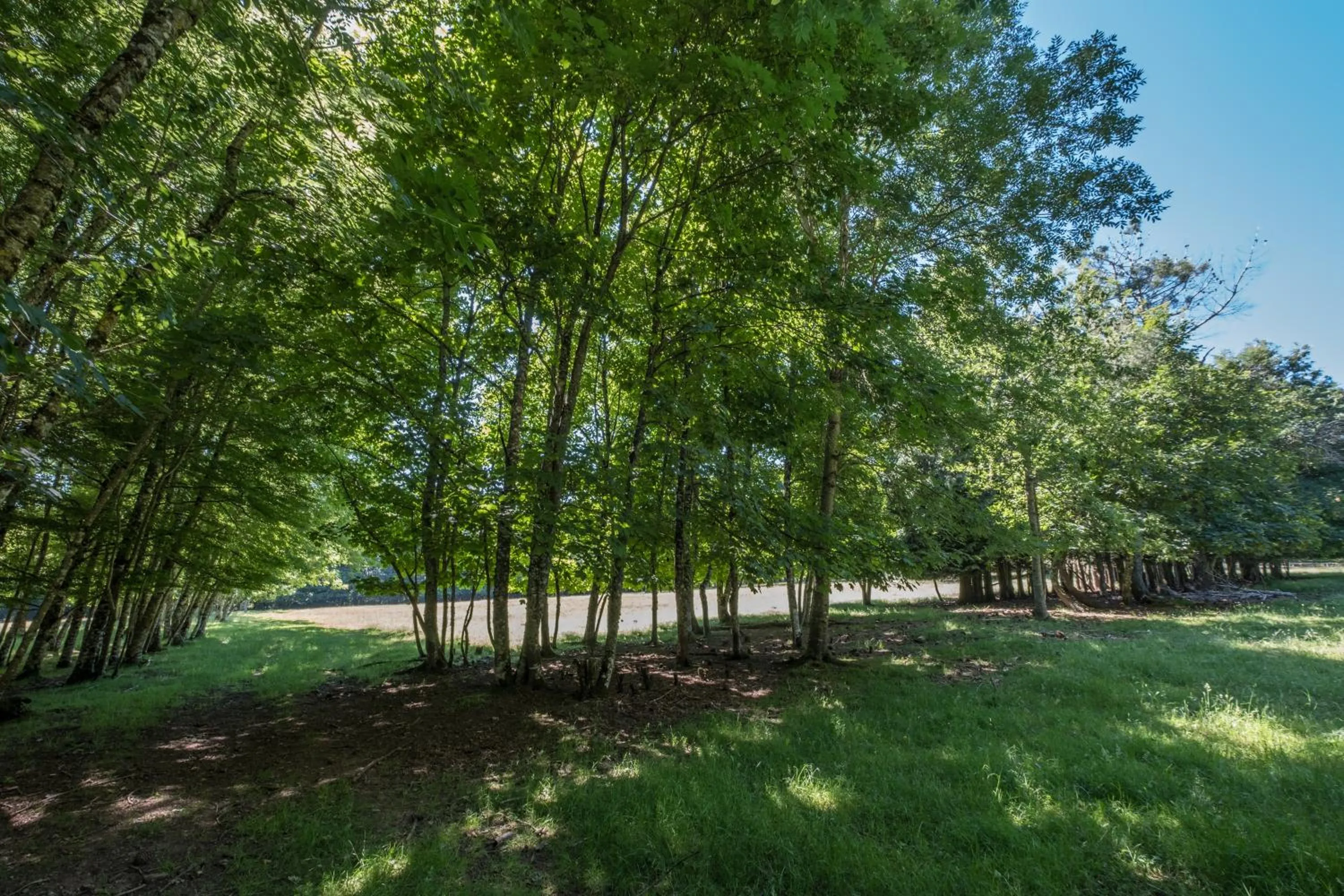 Natural landscape in Domaine de Malouziès