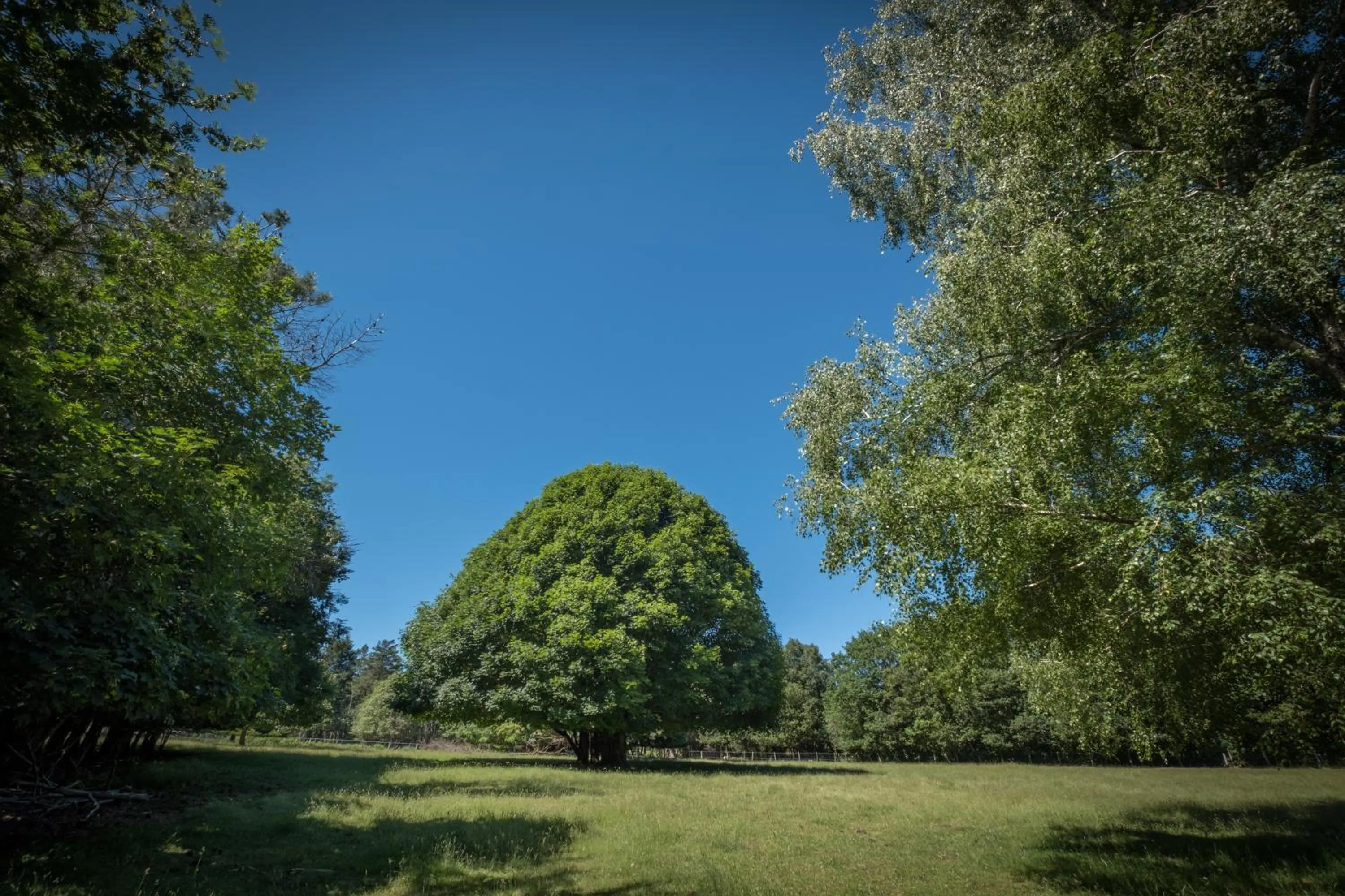 Natural landscape in Domaine de Malouziès