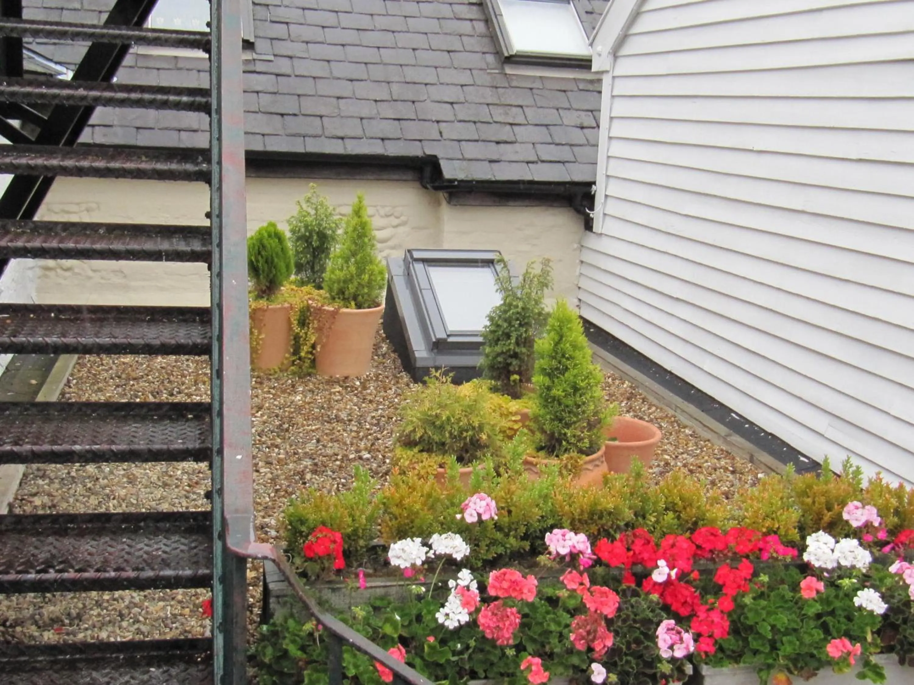 Garden in The Abbey Hotel & Apartments