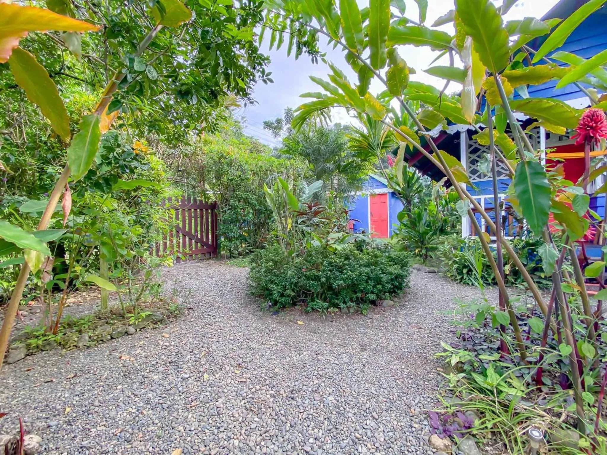 Garden in Hotel Casitas Mar y Luz