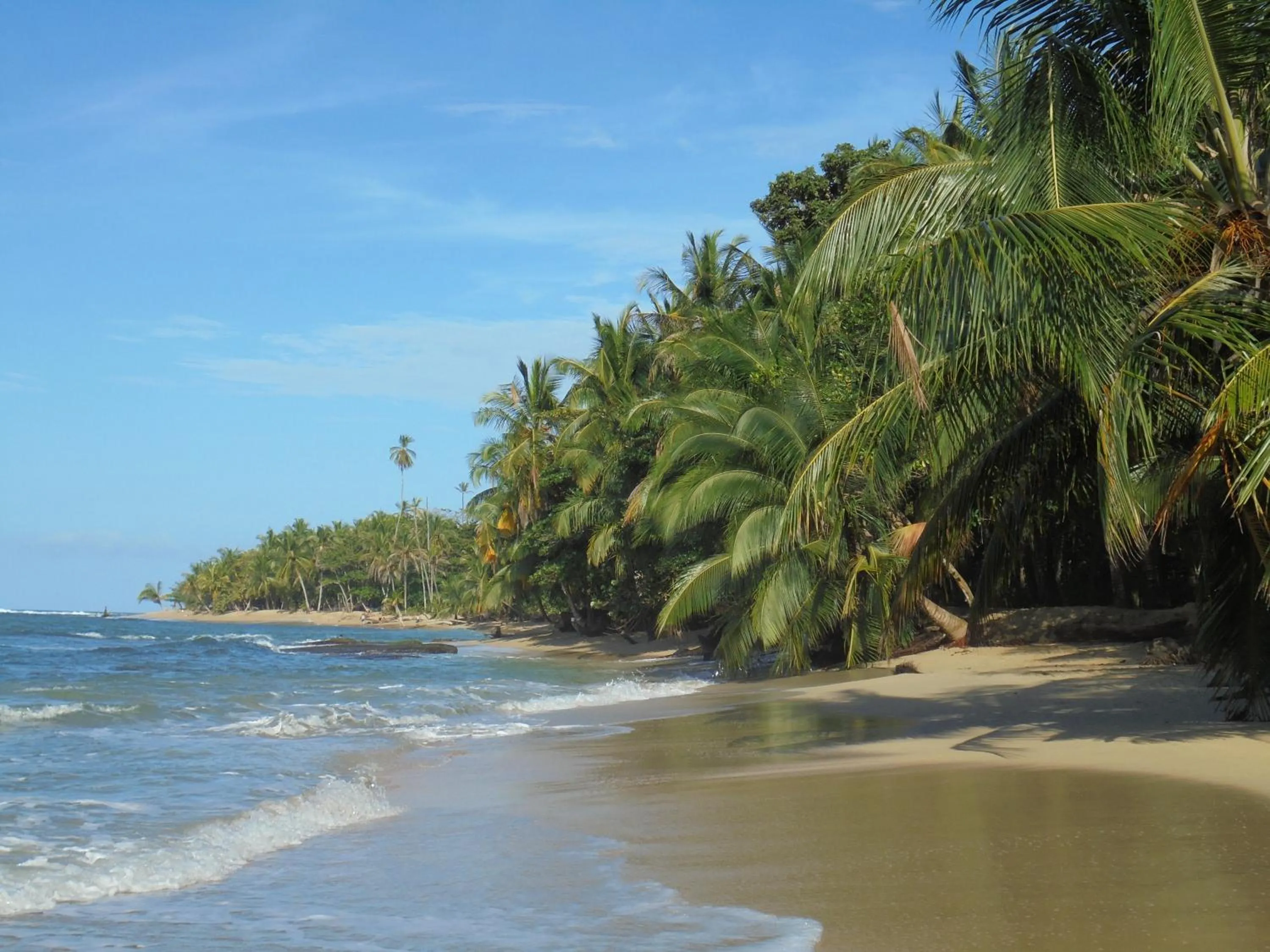 Beach in Hotel Casitas Mar y Luz