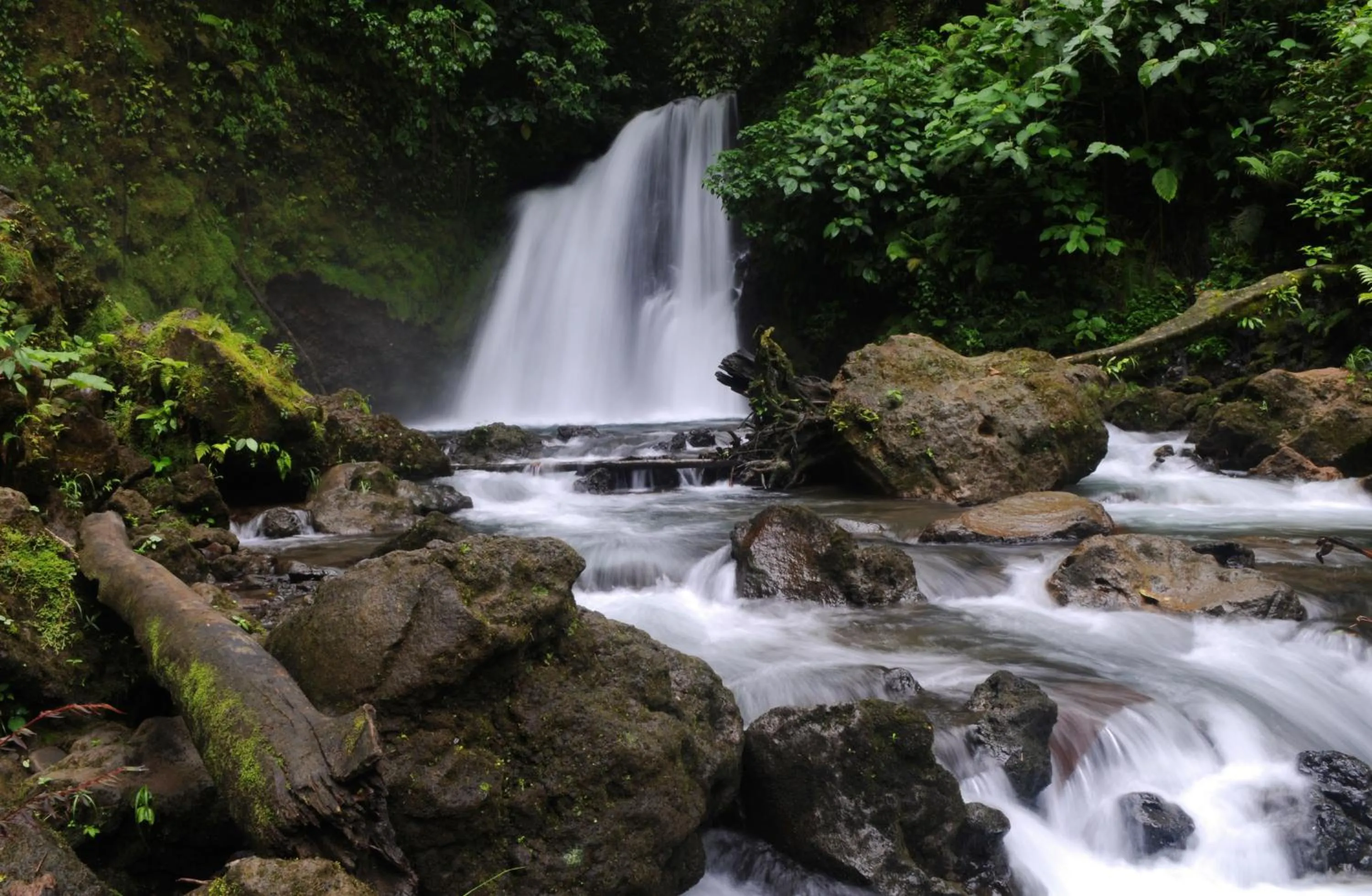 View (from property/room) in Arenal Observatory Lodge & Trails