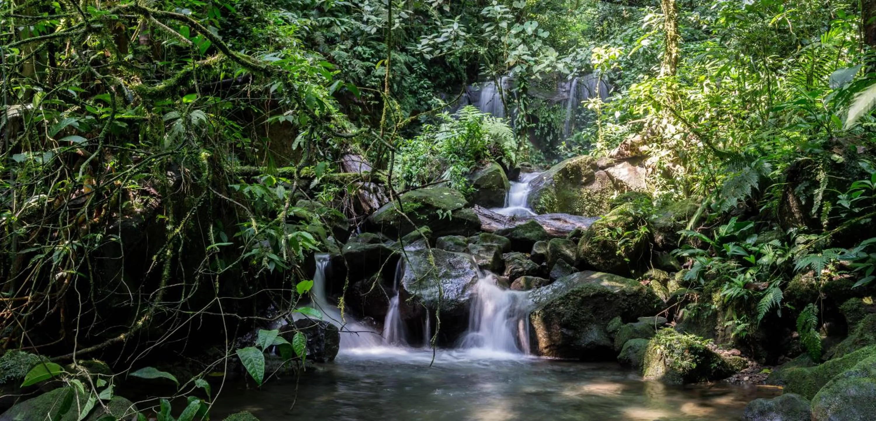 Hiking in Arenal Observatory Lodge & Trails