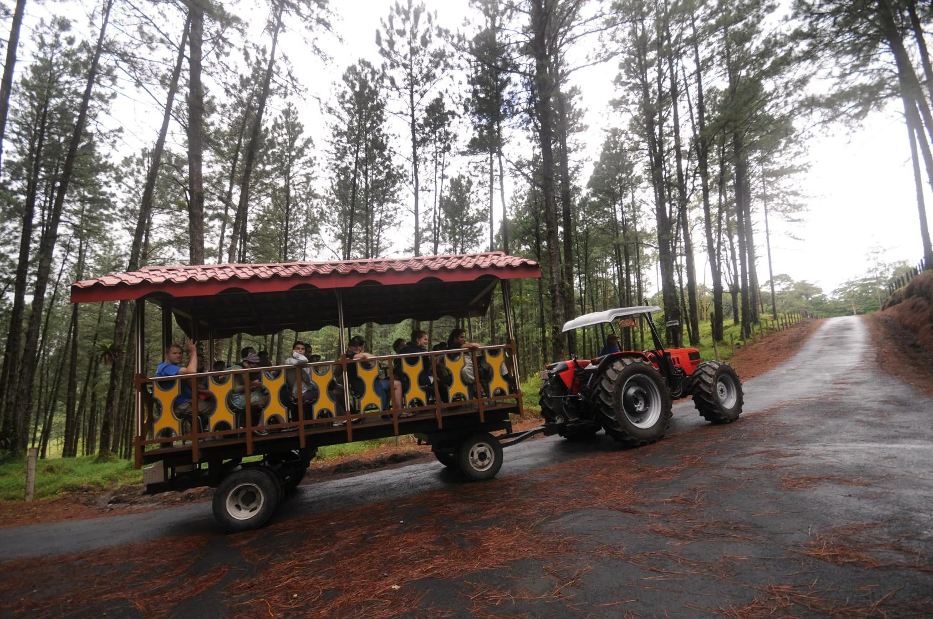 View (from property/room) in Arenal Observatory Lodge & Trails