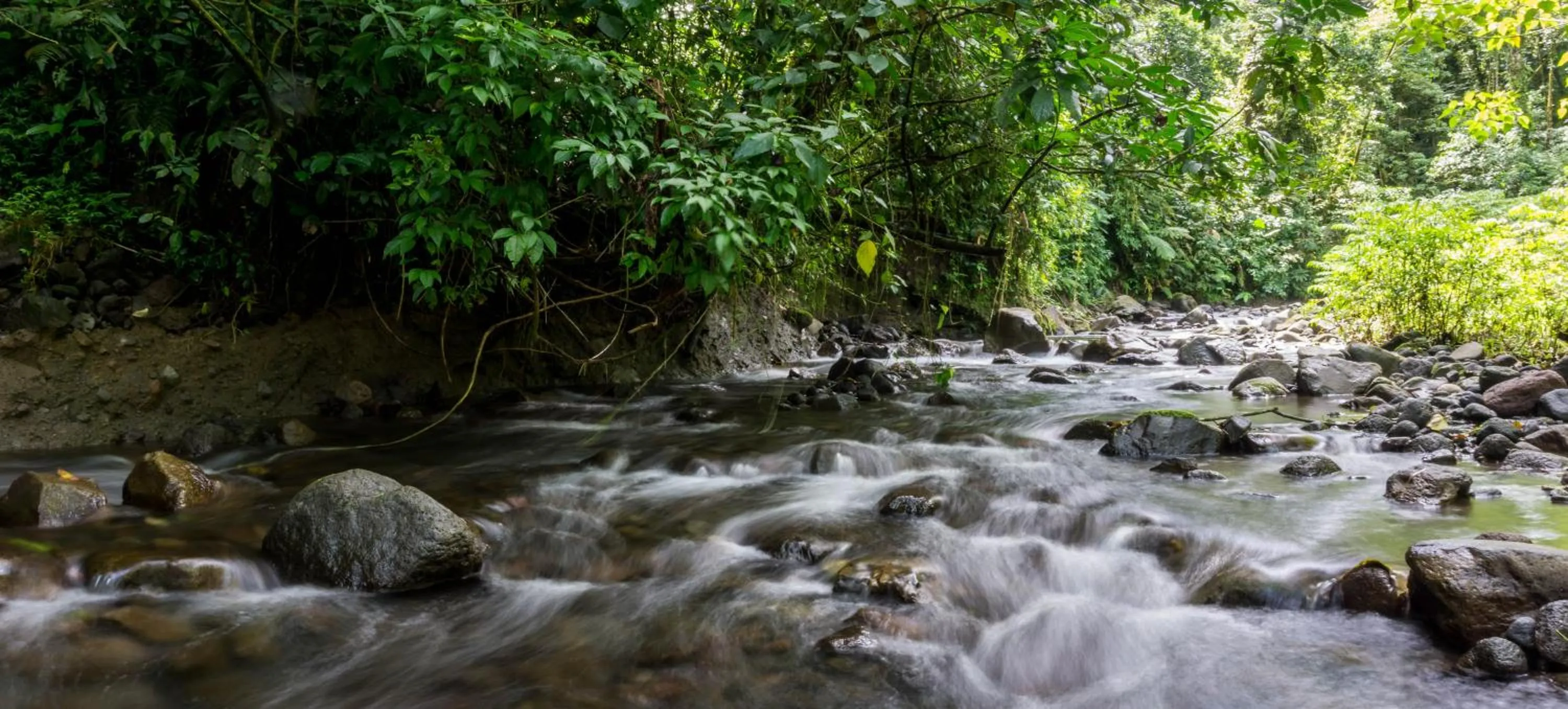 Hiking in Arenal Observatory Lodge & Trails