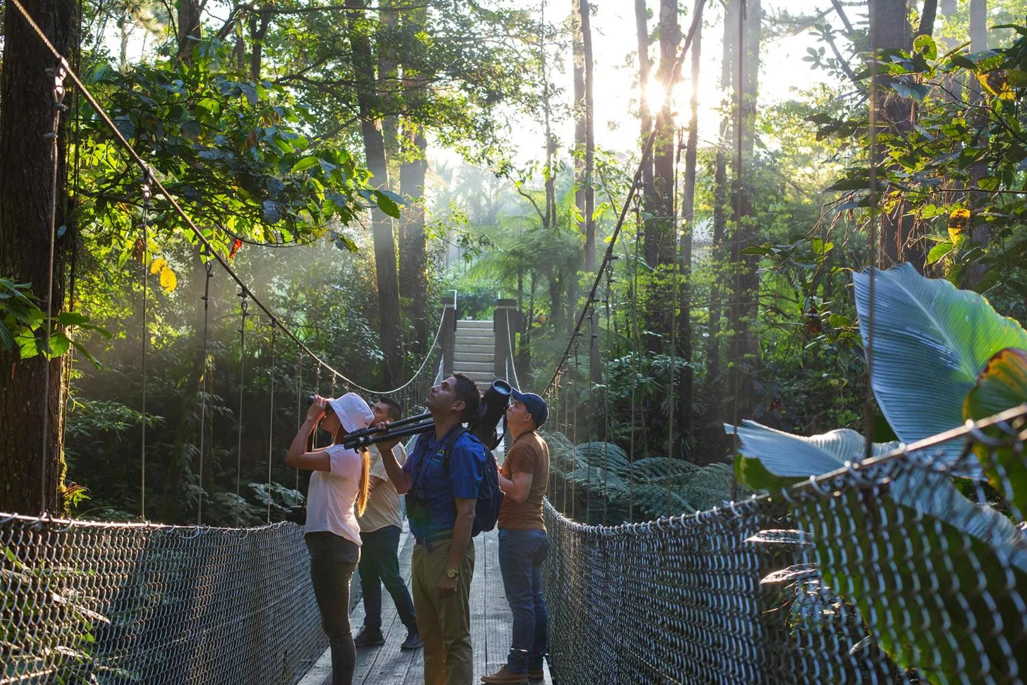 Hiking in Arenal Observatory Lodge & Trails