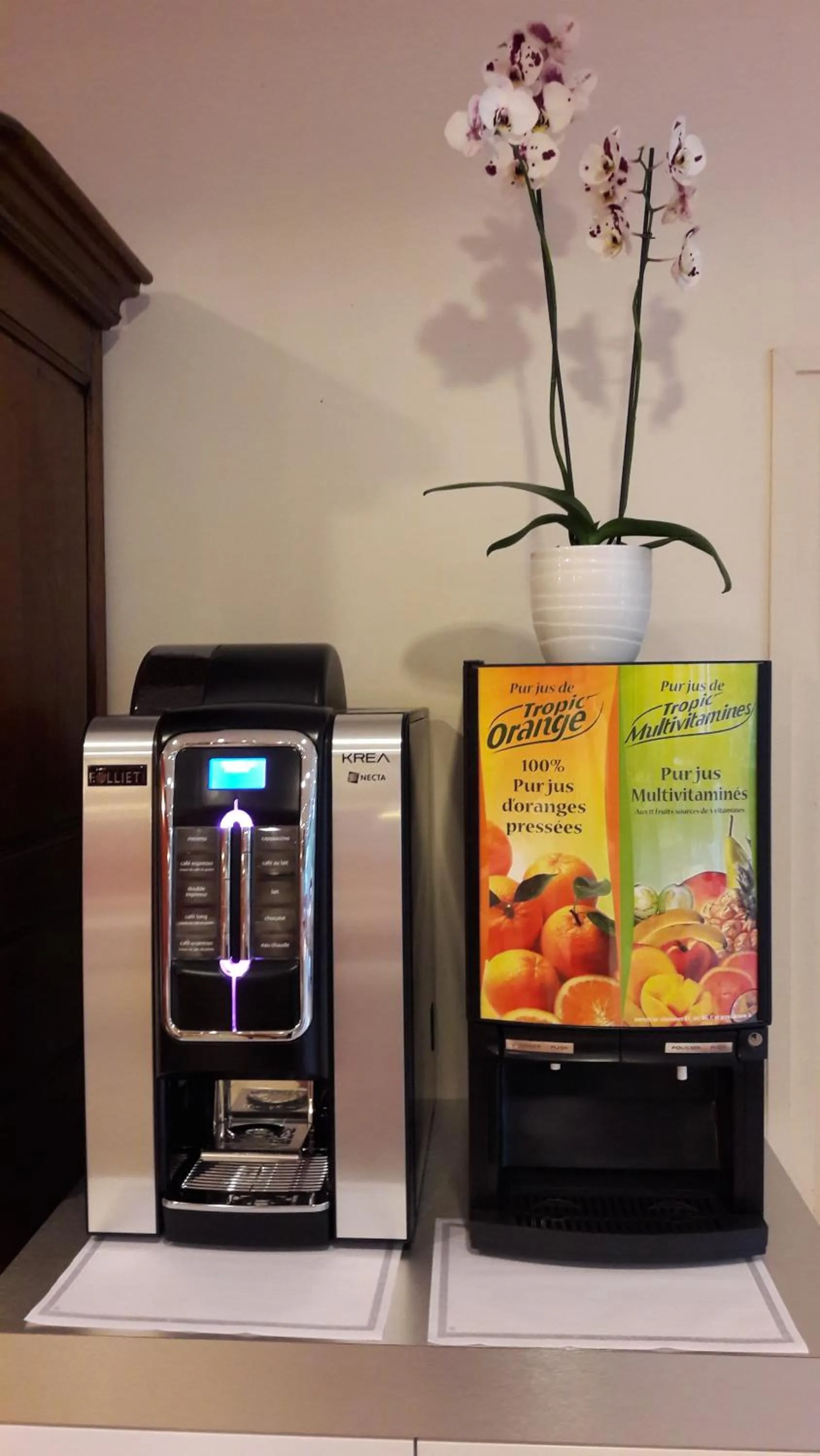 Area and facilities in HOTEL CERISE - LES SOURCES Luxeuil-les-Bains