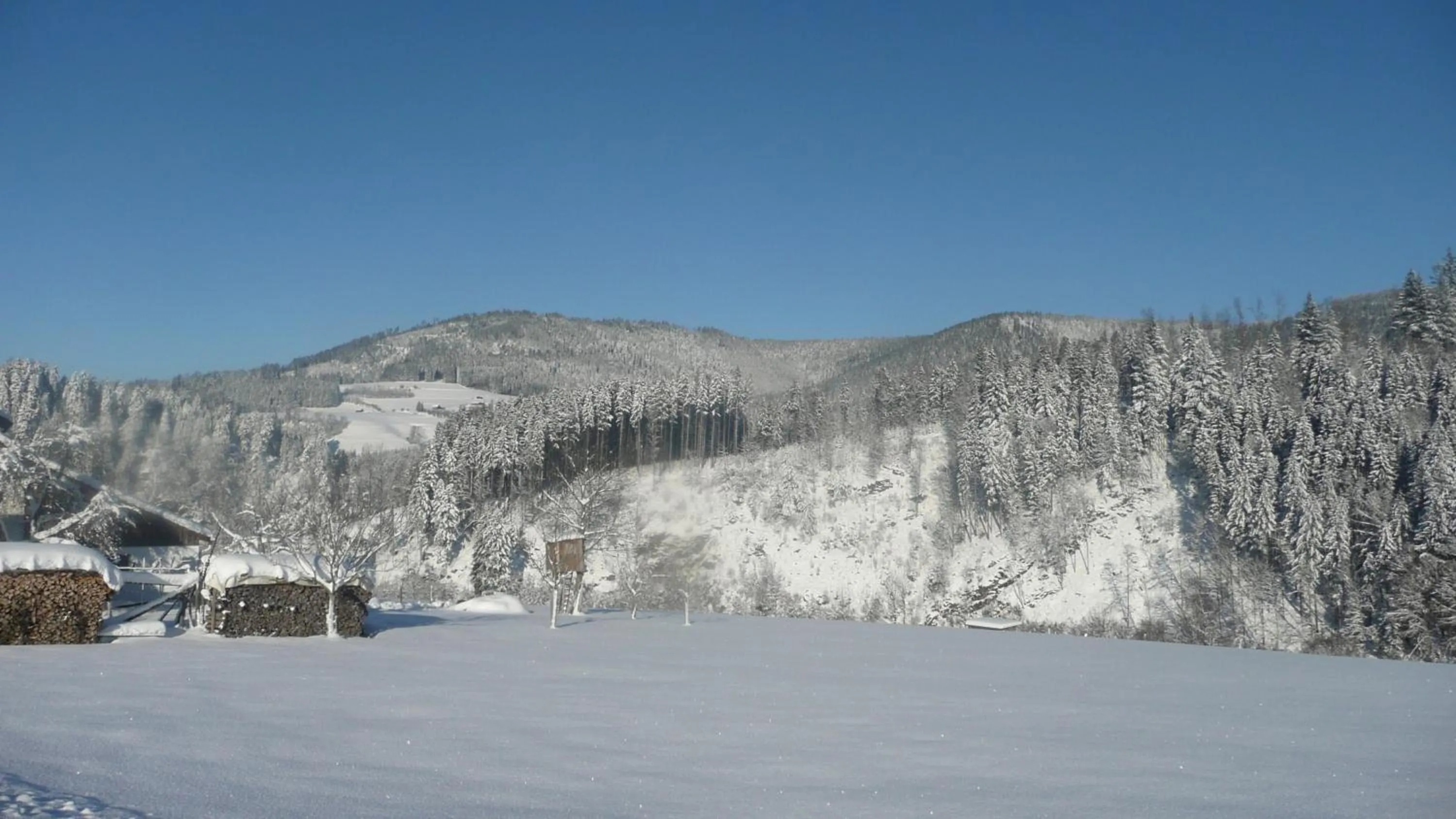 Natural landscape in Sackmann Wanderhotel