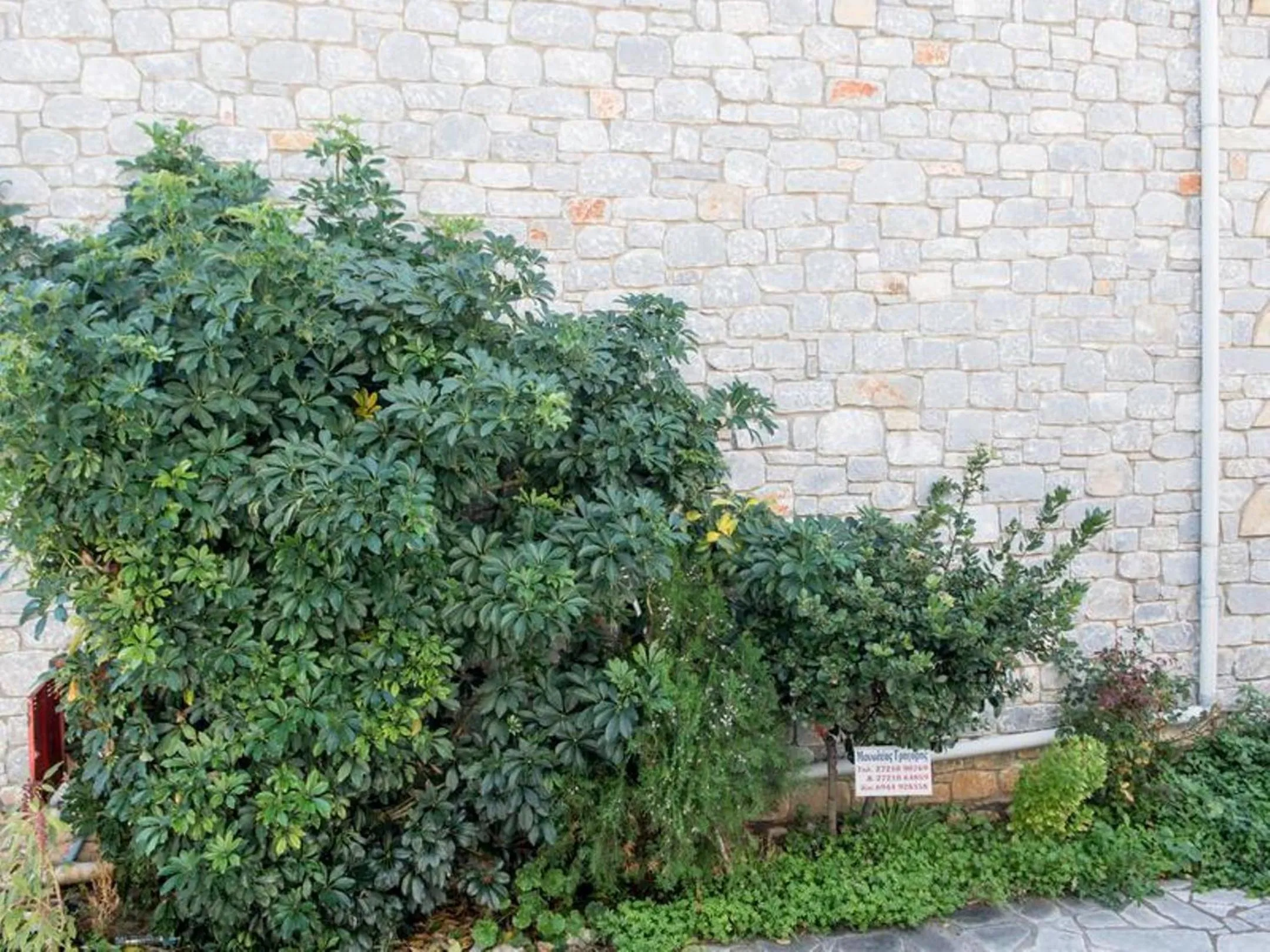 Manoleas Villas - Apartment 6