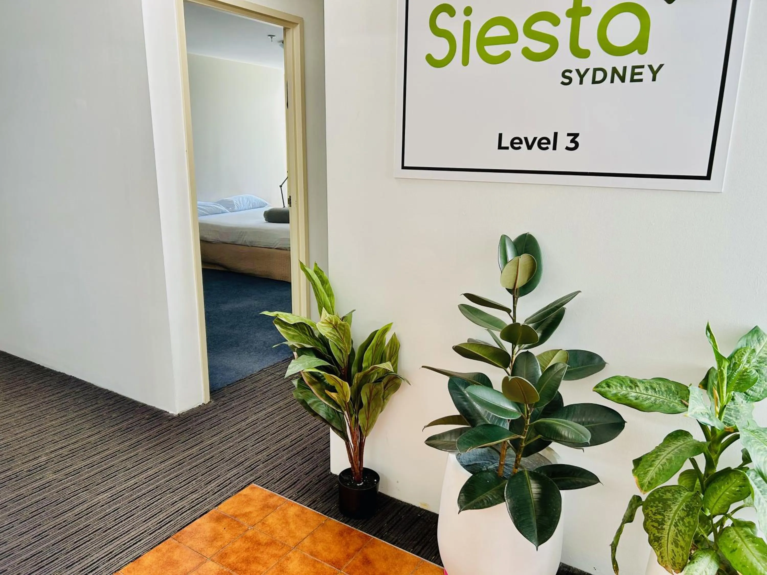Property building, Bed in Siesta Sydney
