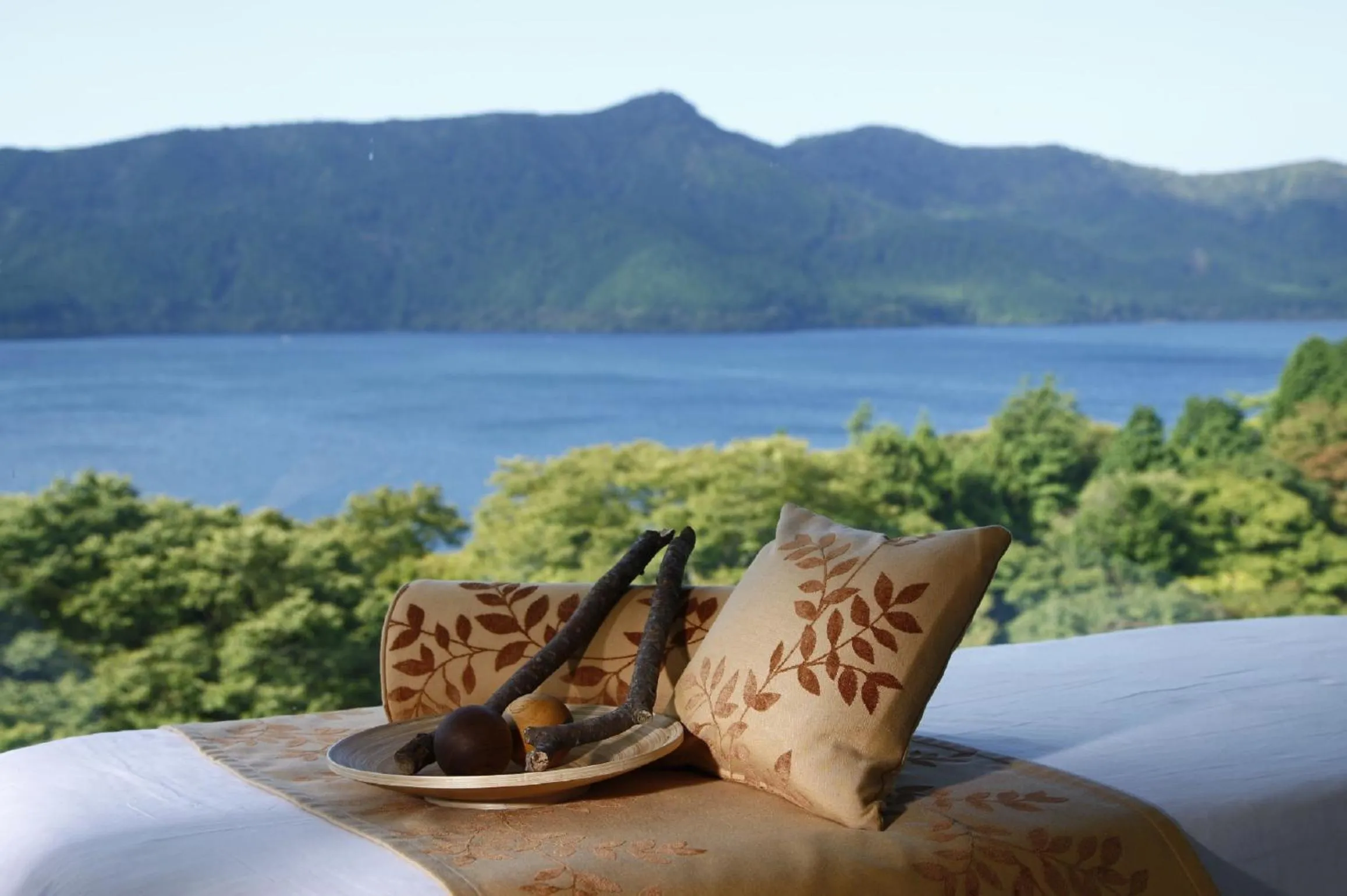 Massage in Odakyu Hotel de Yama