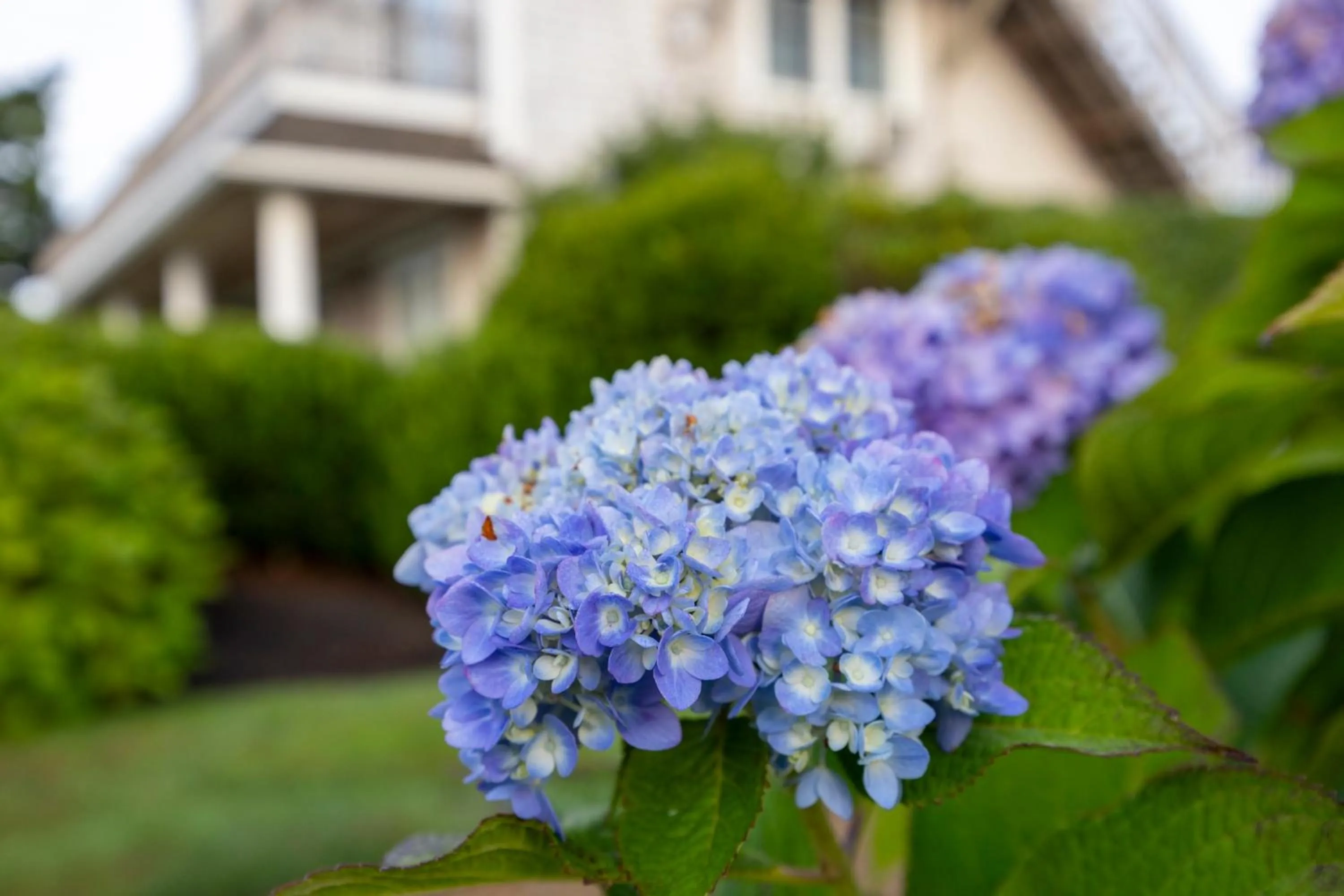 Day in Beachside Village Resort