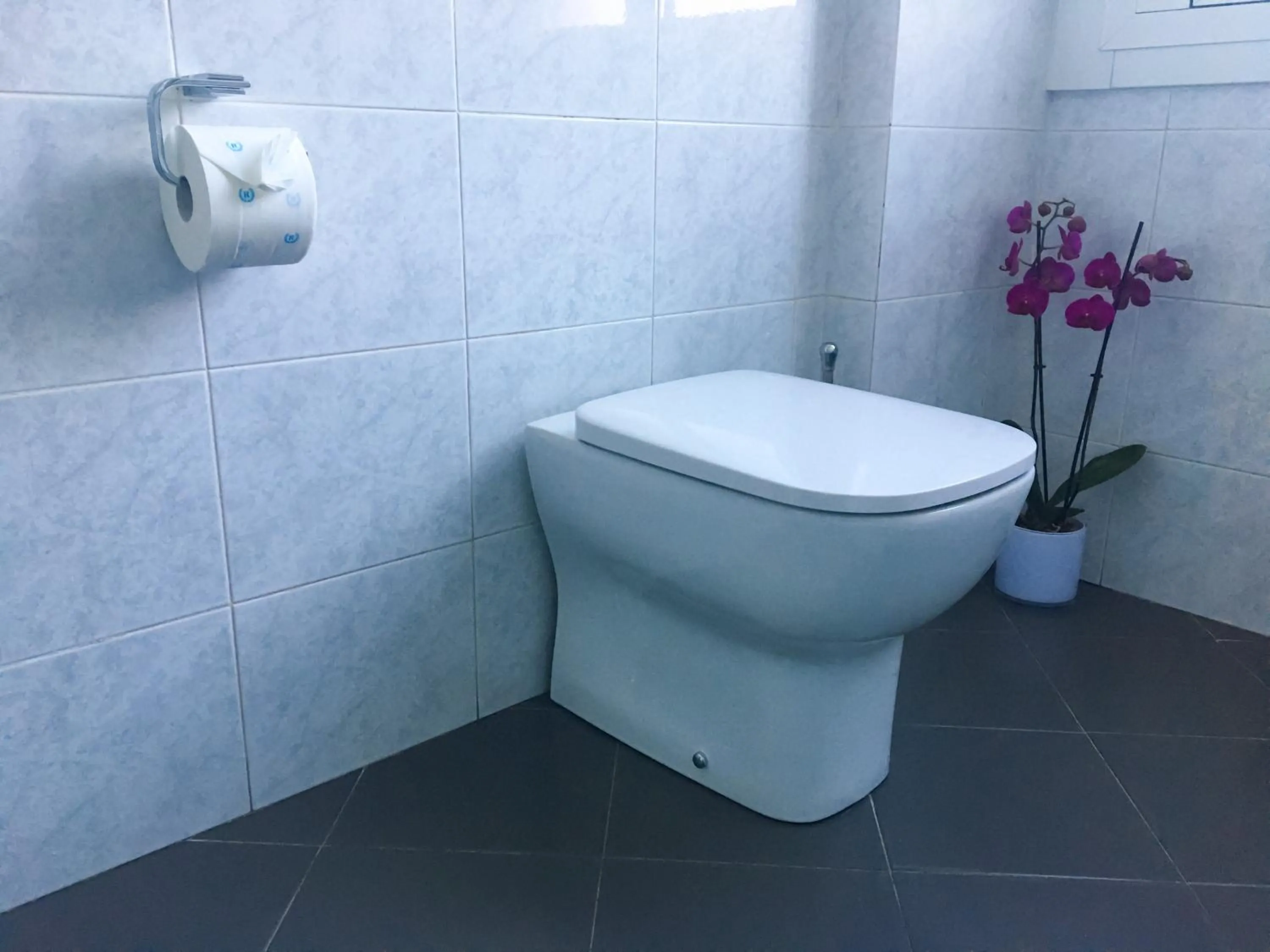 Toilet, Bathroom in BASILICO Genova