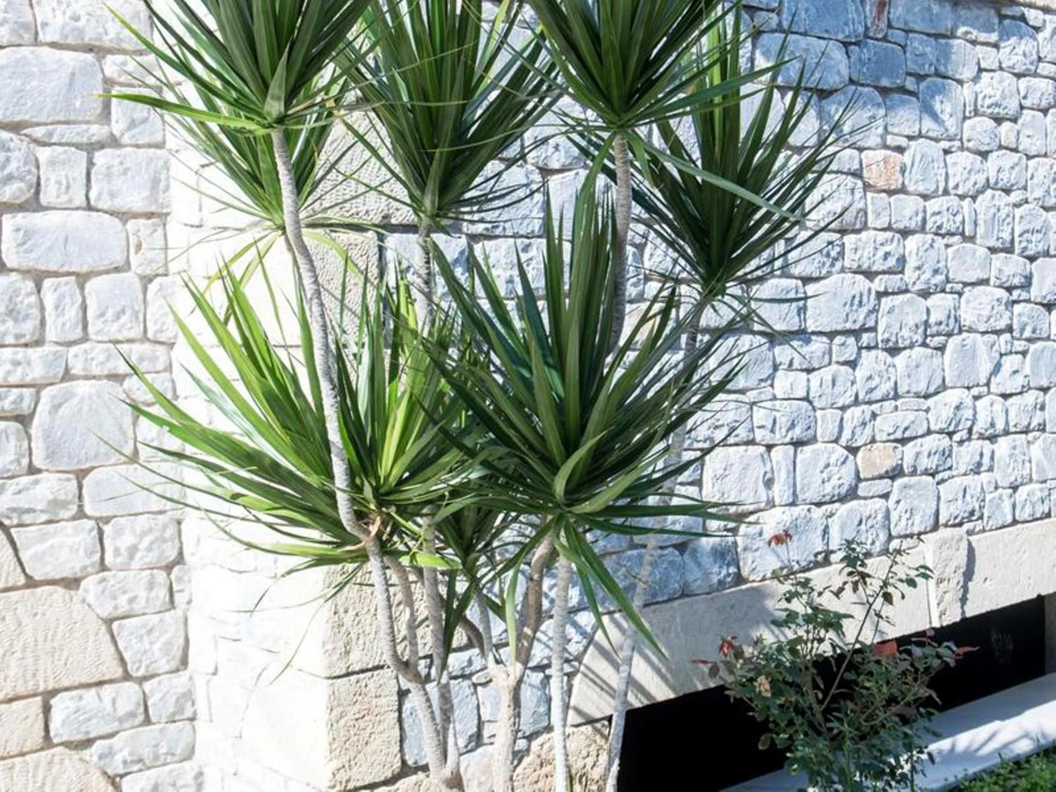 Manoleas Villas - Apartment 8