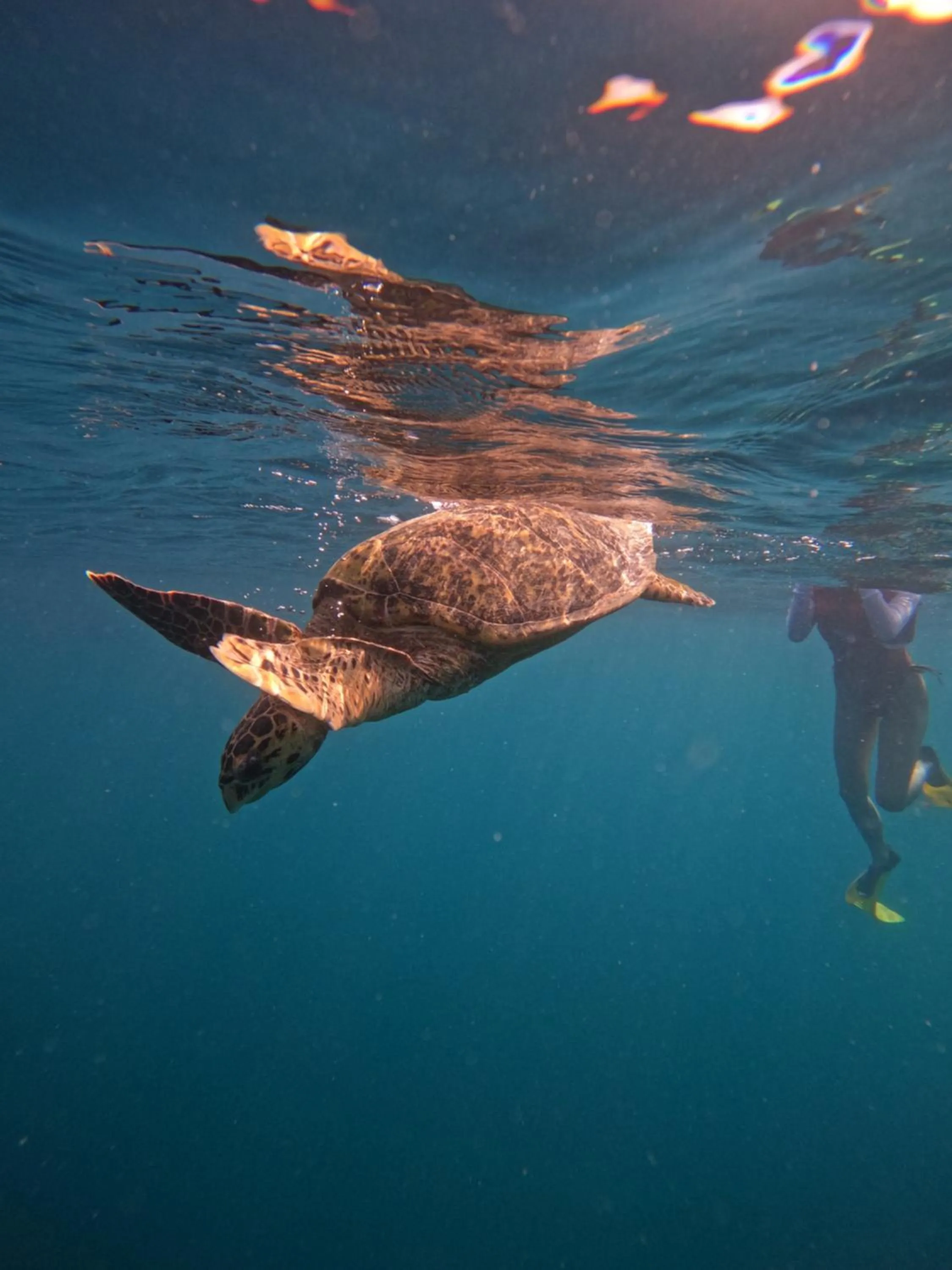 Activities in Club Kaafu Maldives