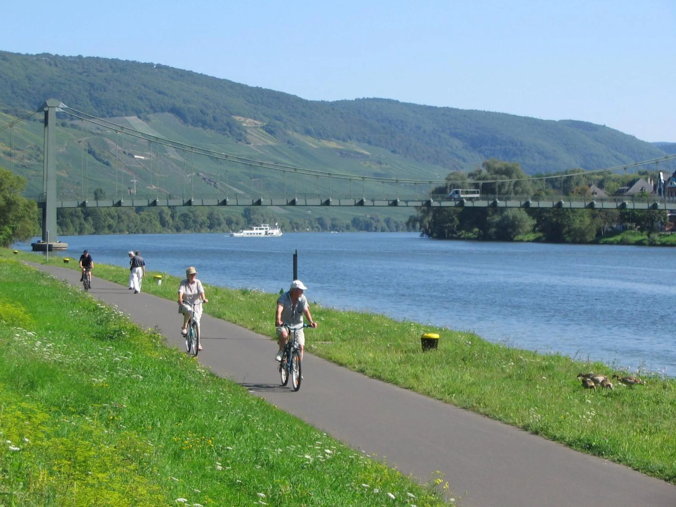 Cycling in Hotel Winzerverein