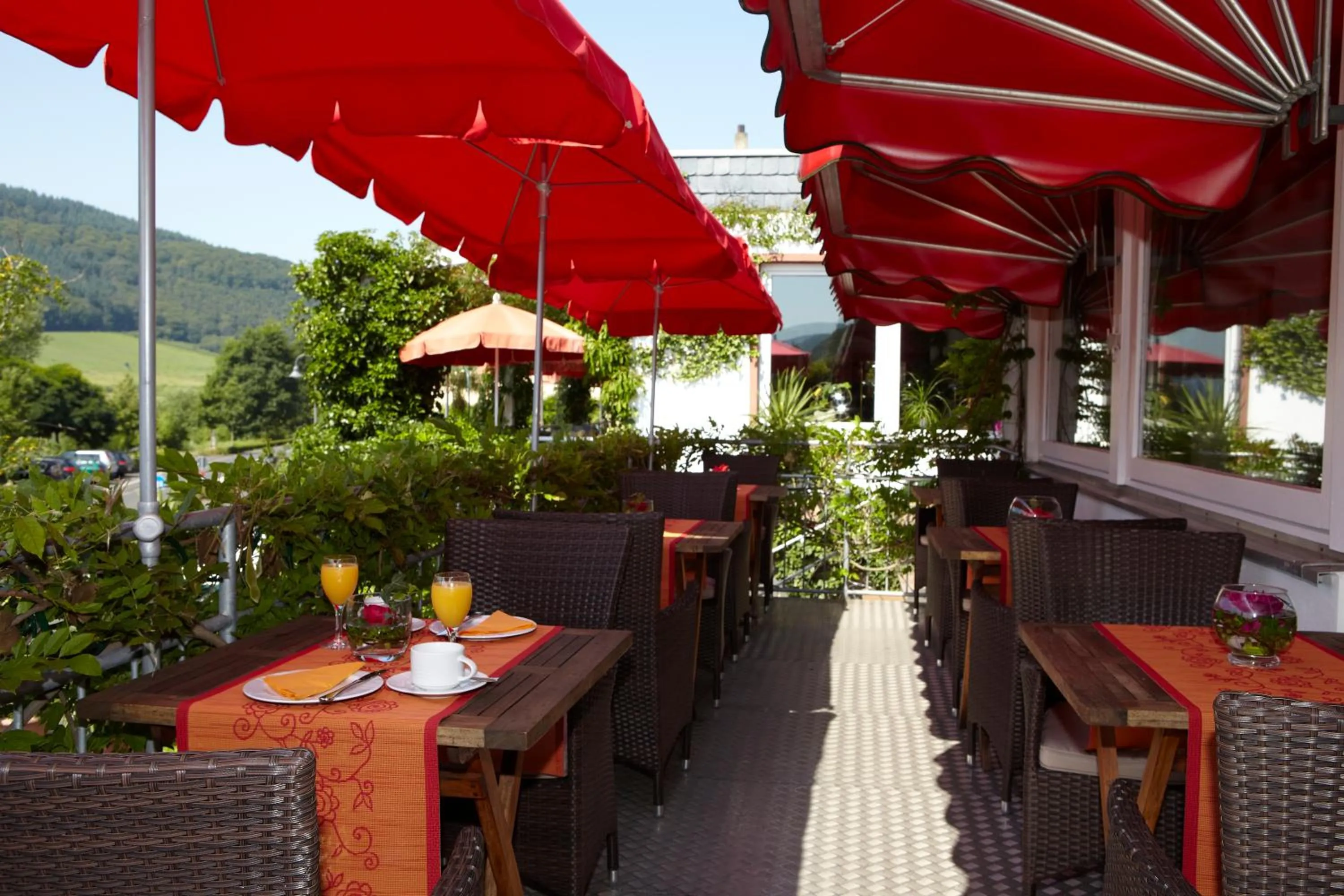 Balcony/Terrace in Hotel Winzerverein