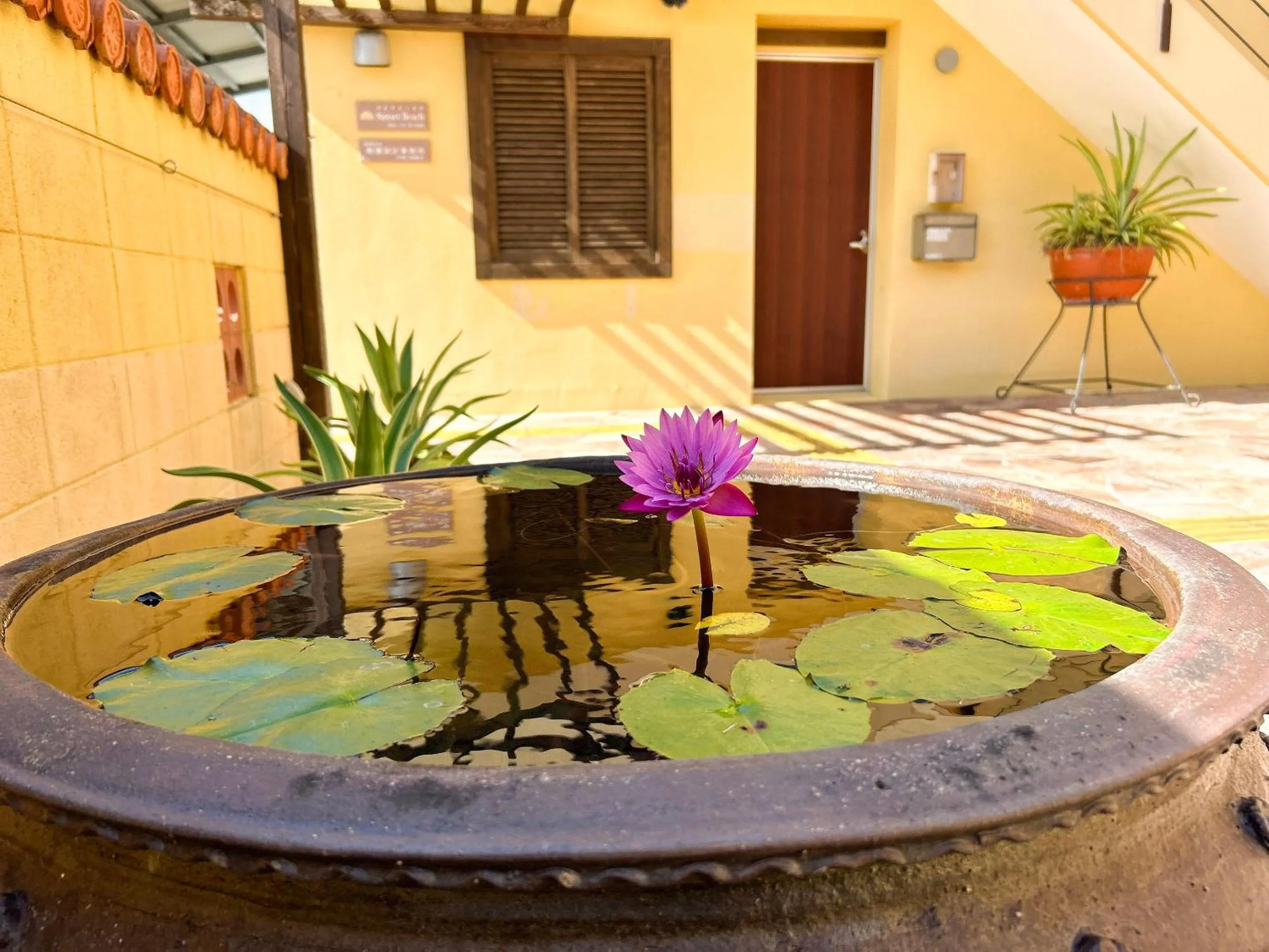 Area and facilities in Pension Sunset Beach