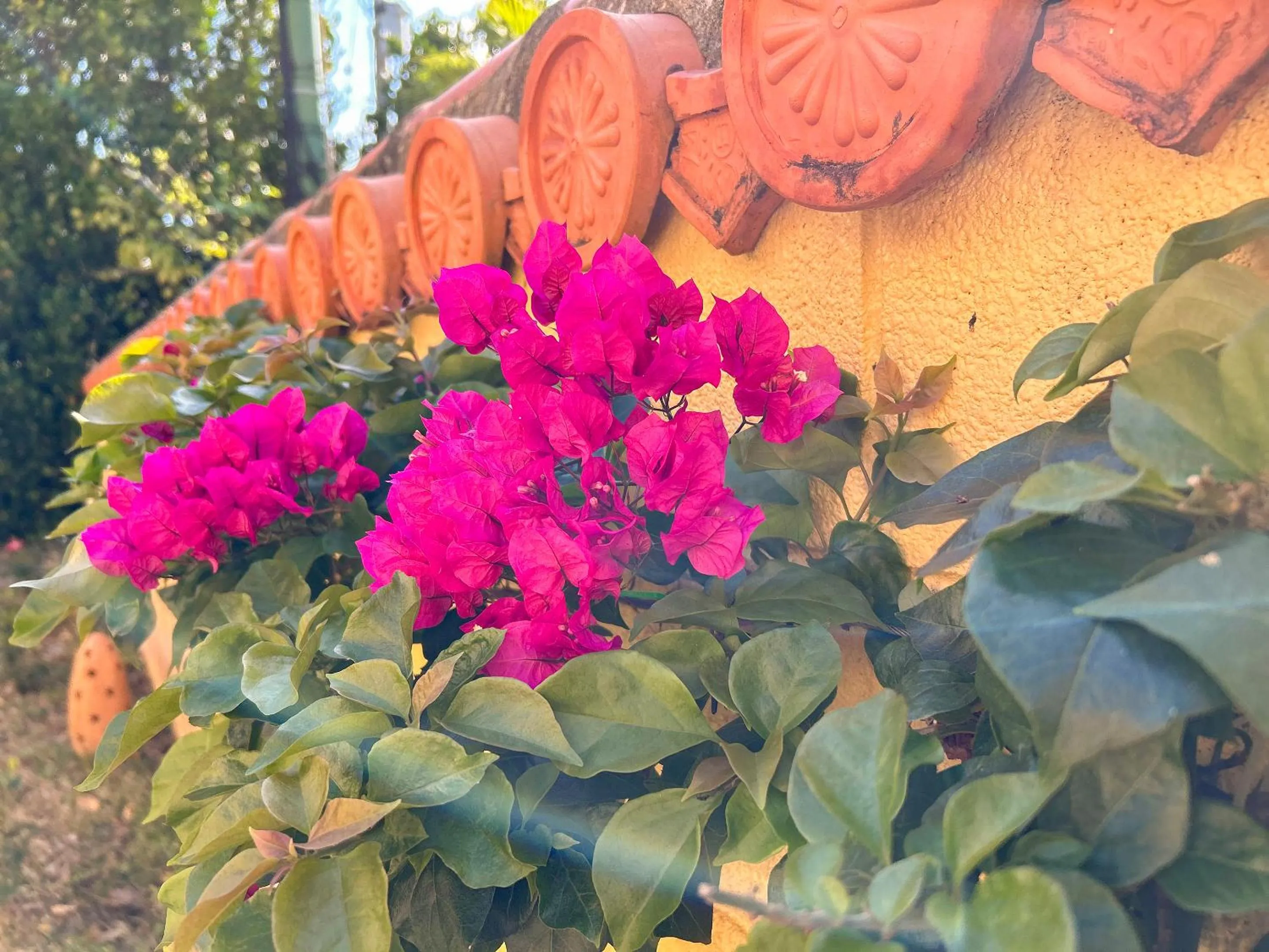 Area and facilities in Pension Sunset Beach