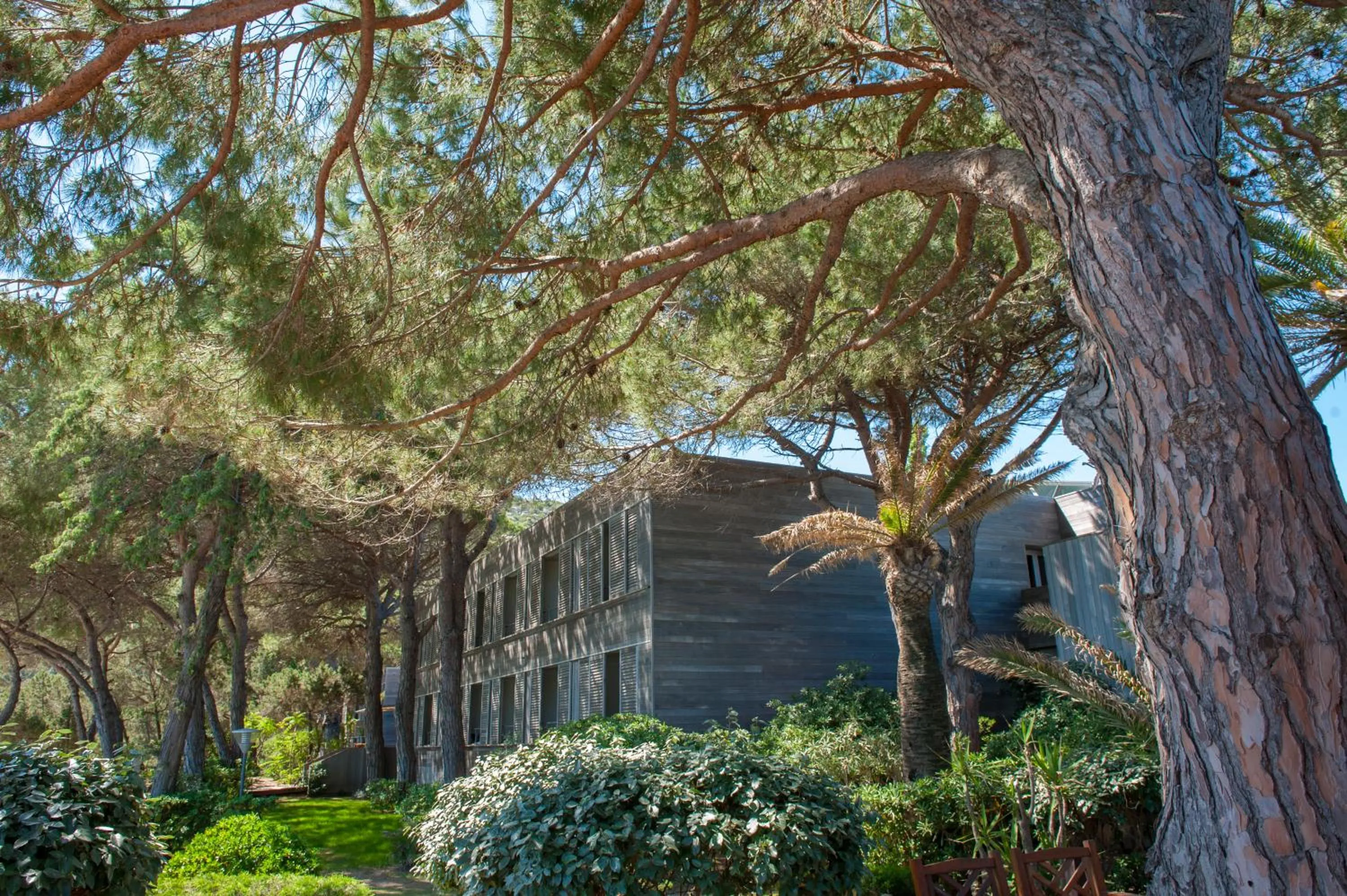 Facade/entrance in Hôtel & Lodges Moby Dick