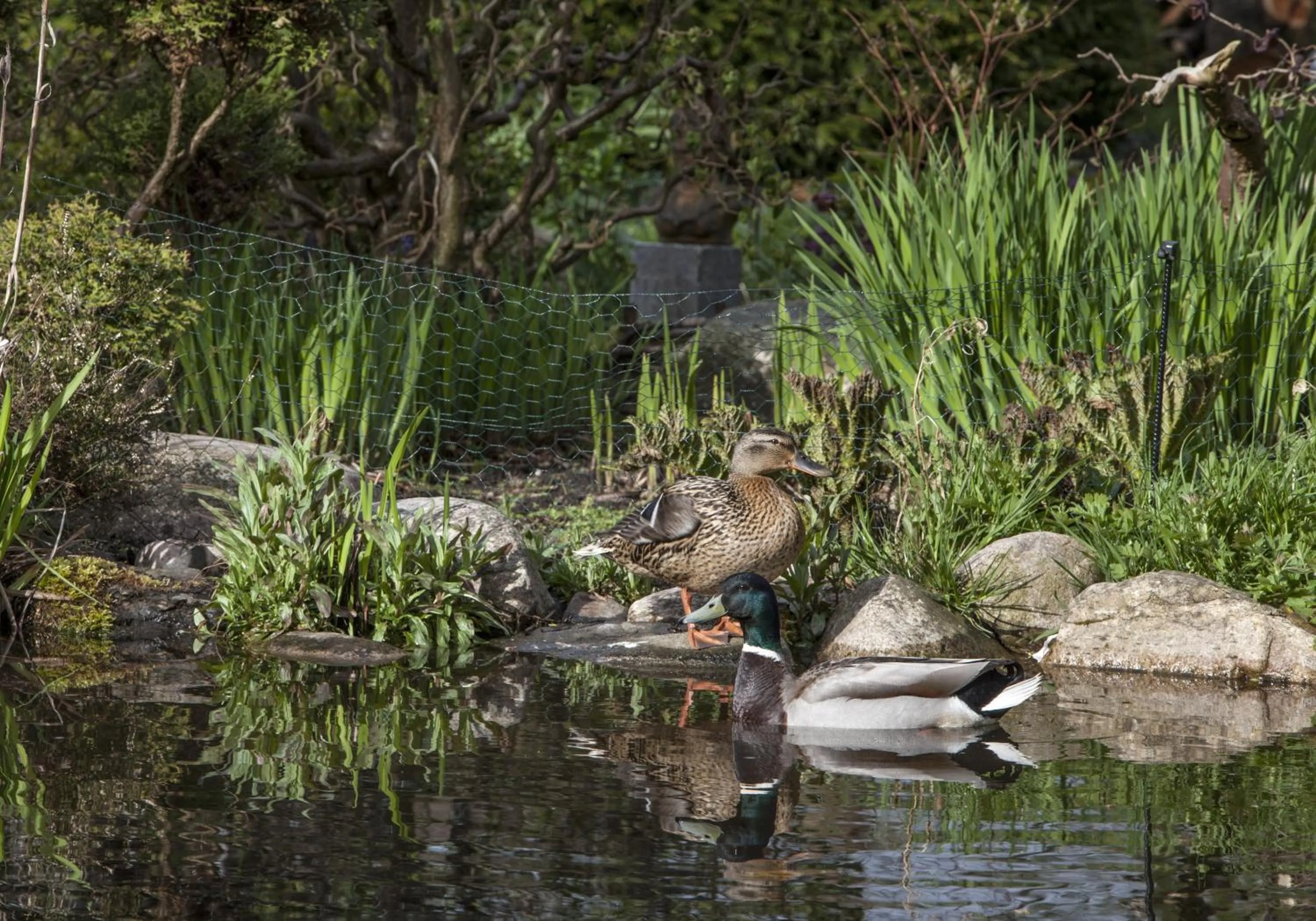 Garden in Bed & Breakfast Horsens