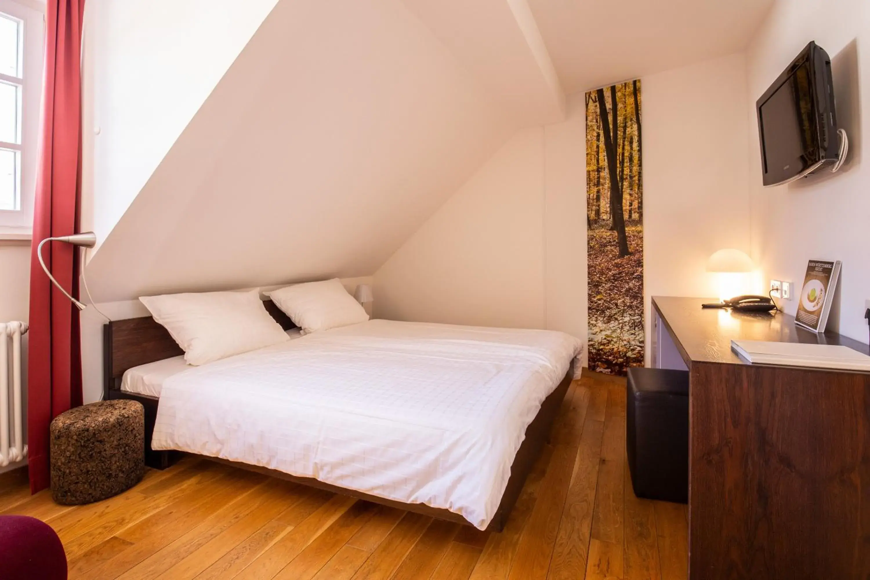 Double Room - single occupancy in Traube Blansingen Double Room - single occupancy in Traube Blansingen