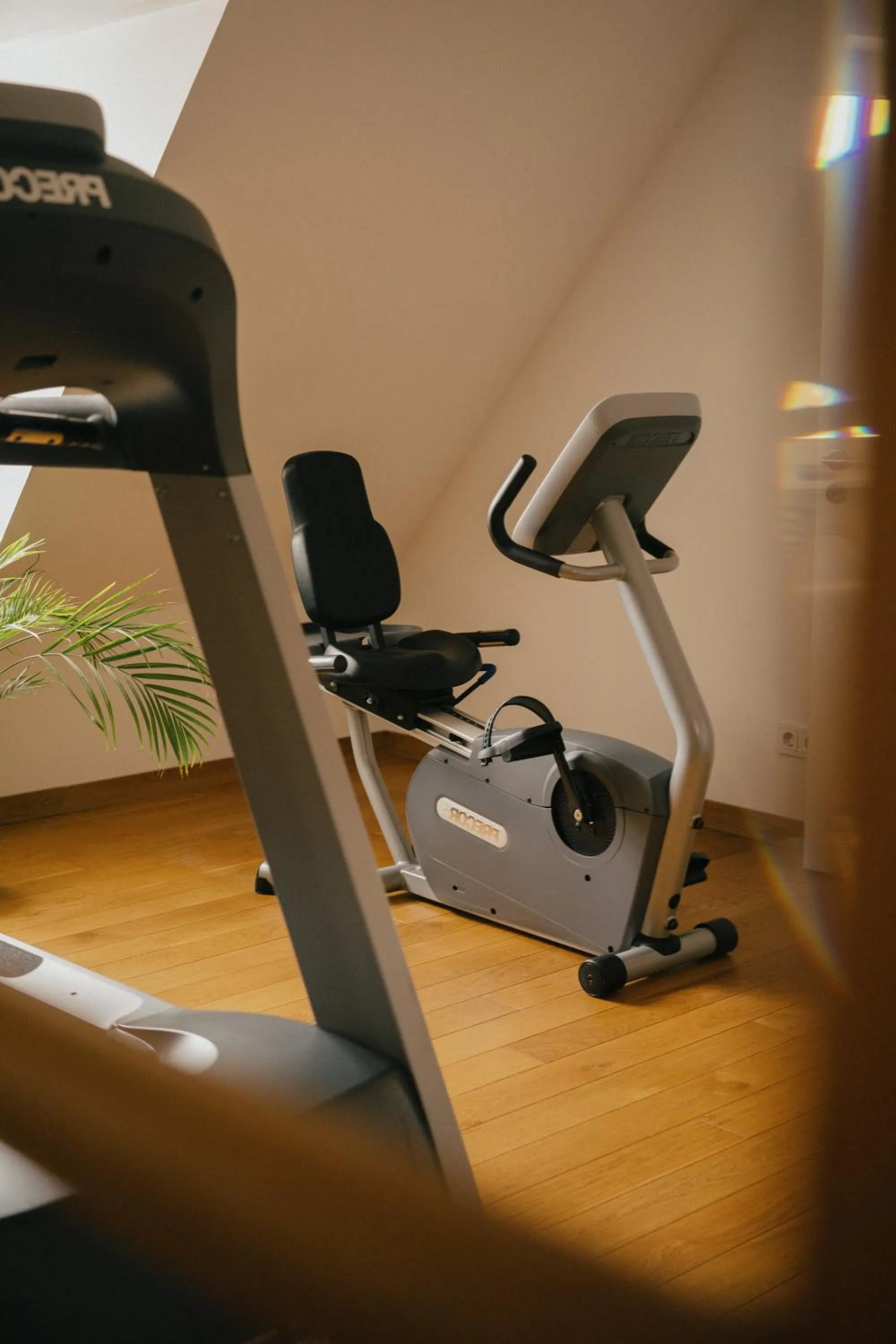 Fitness centre/facilities in Traube Blansingen