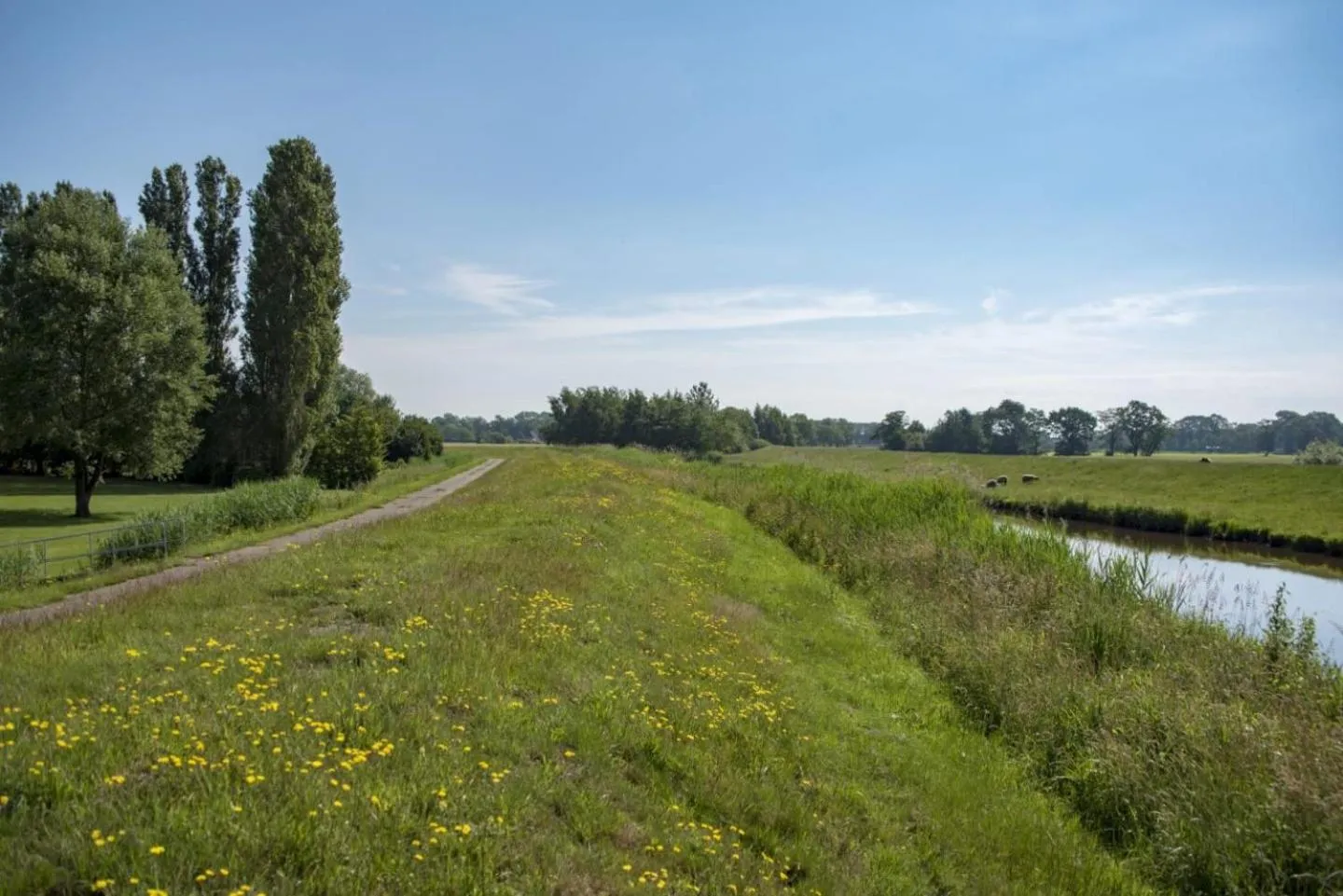 Natural landscape in Hotel Am Deich