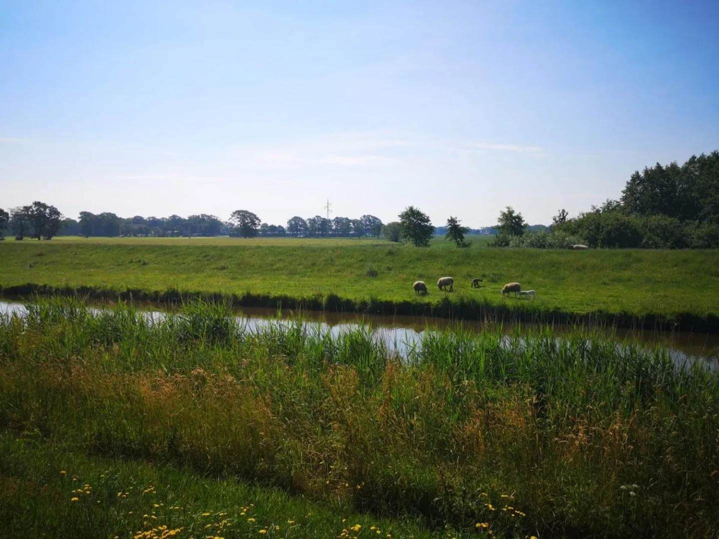 Natural landscape in Hotel Am Deich