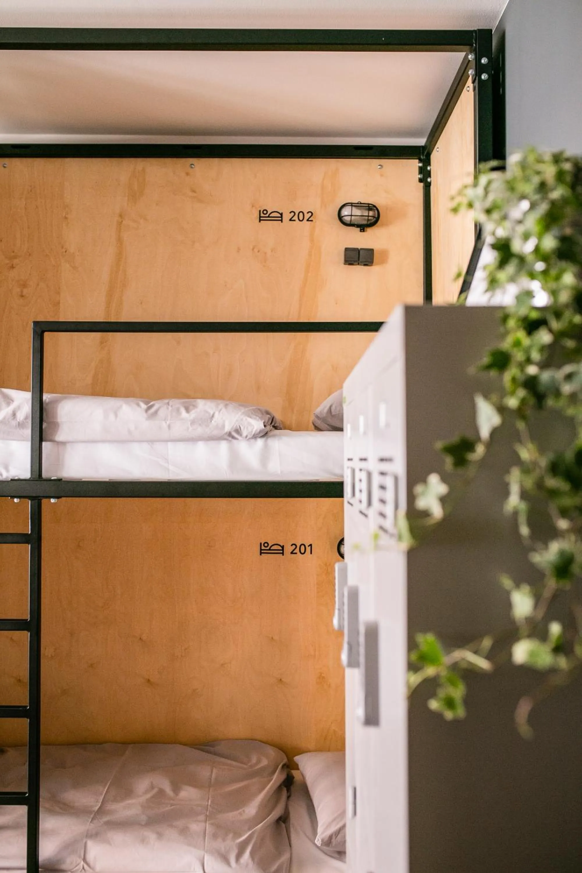 Bed in Schöndorf Hostel - virtual reception