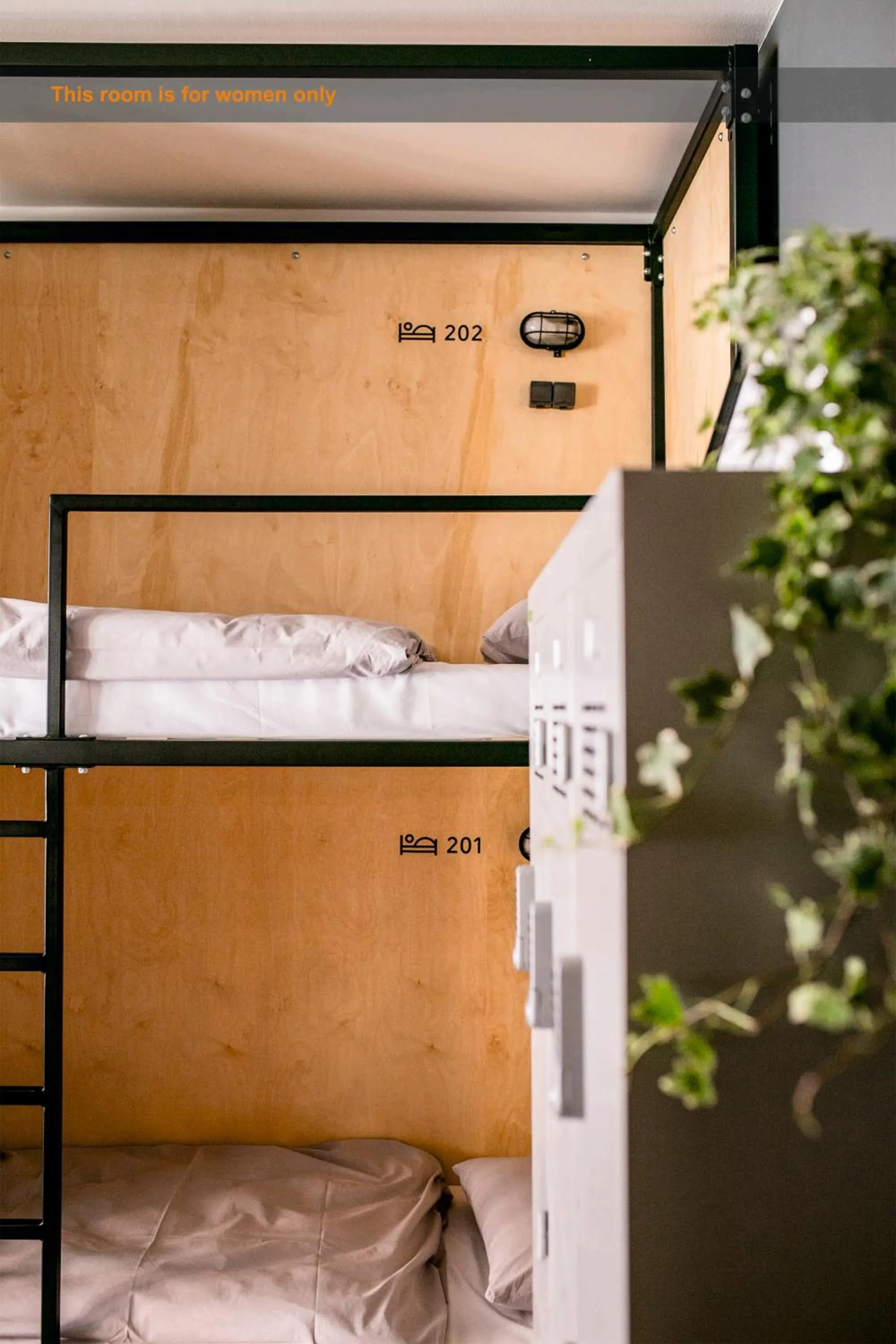 Bed in Schöndorf Hostel - virtual reception