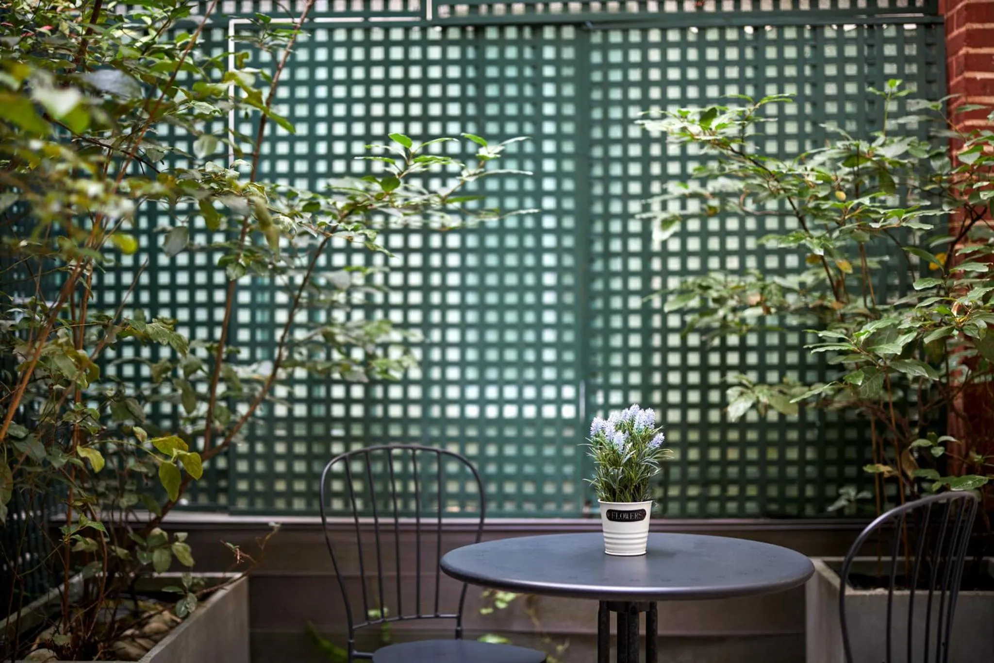 Patio in Les Plumes Hotel