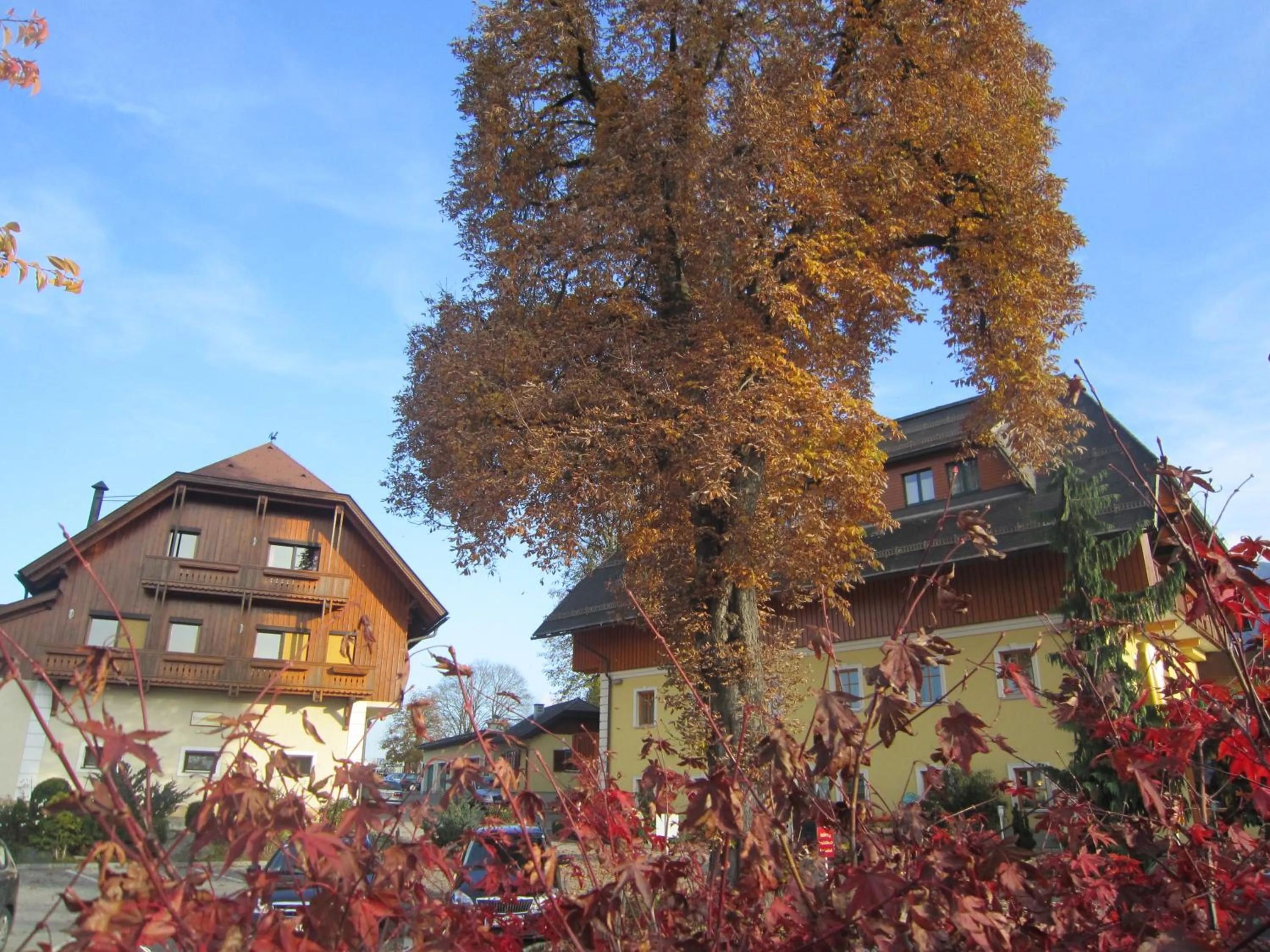 Facade/entrance in Hotel Zollner