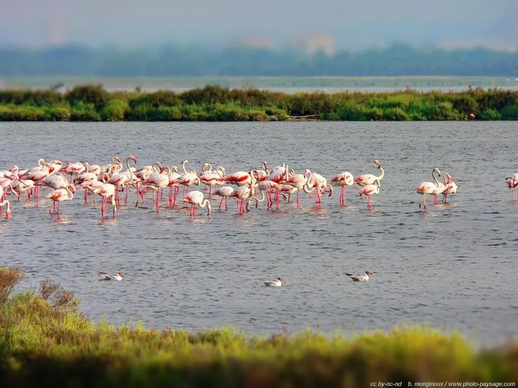 Natural landscape in Le Grand Large Bord de Mer Hotel & Appartements
