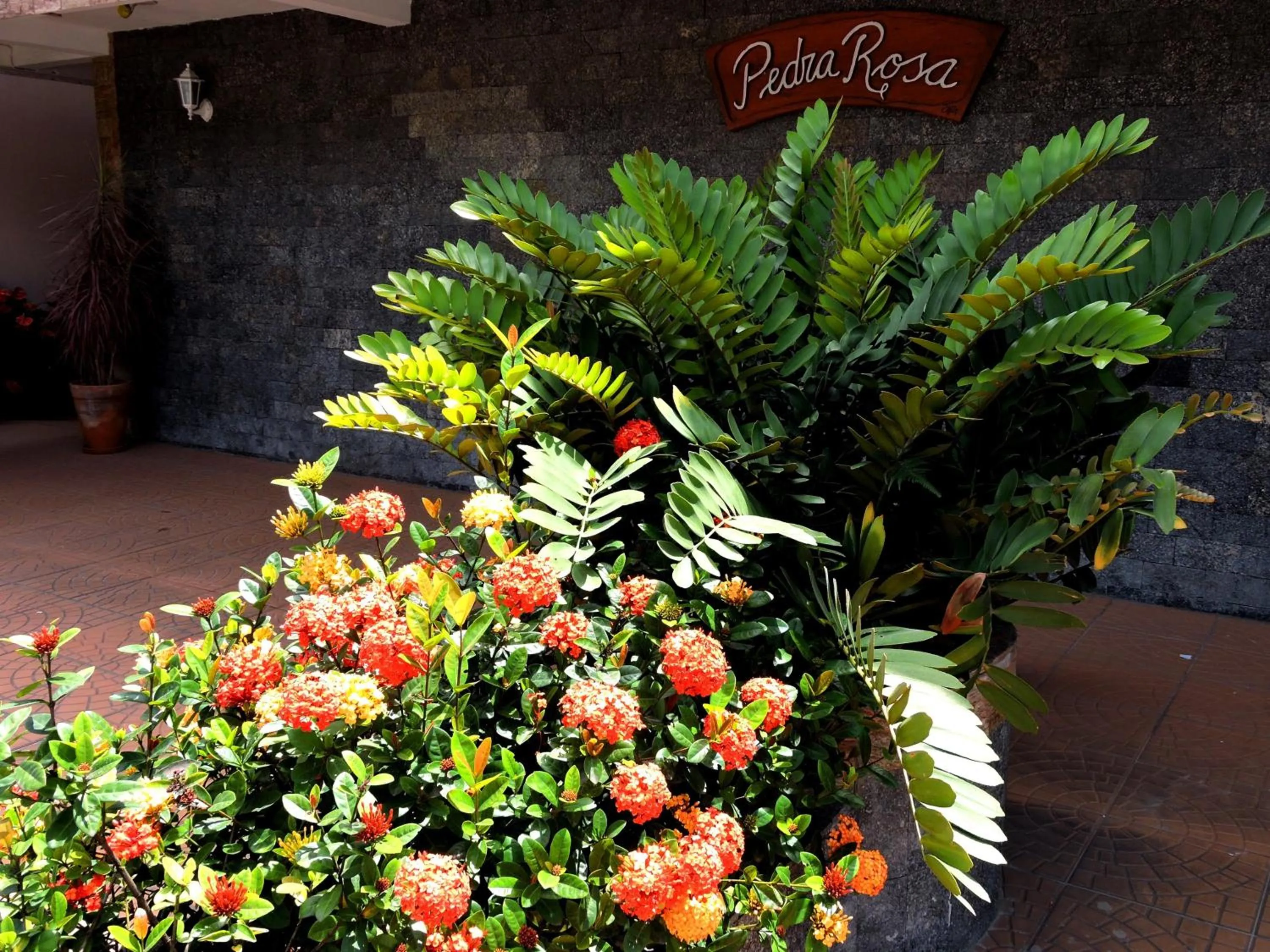 Garden in Pousada Pedra Rosa